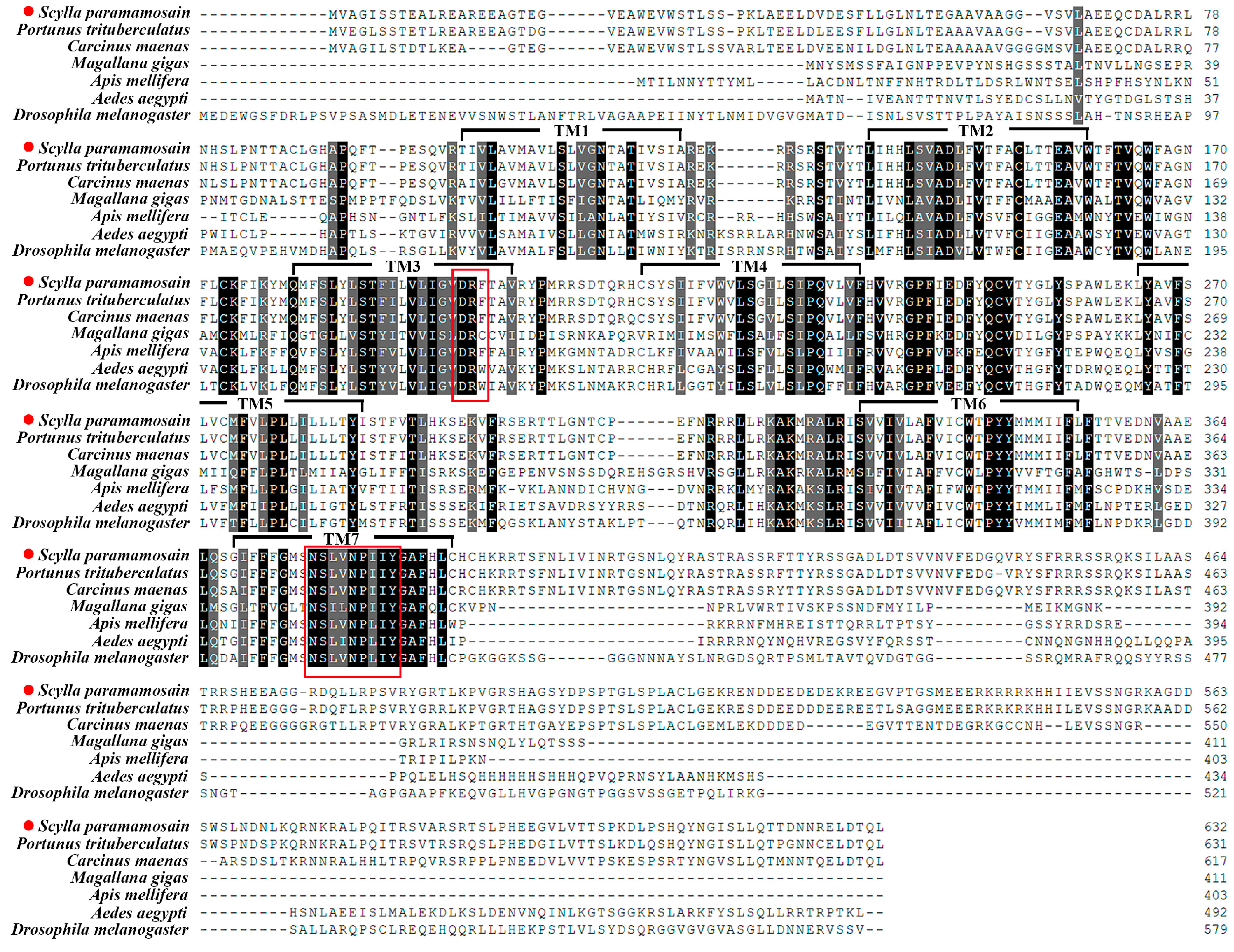 Fishes 10 00329 g003