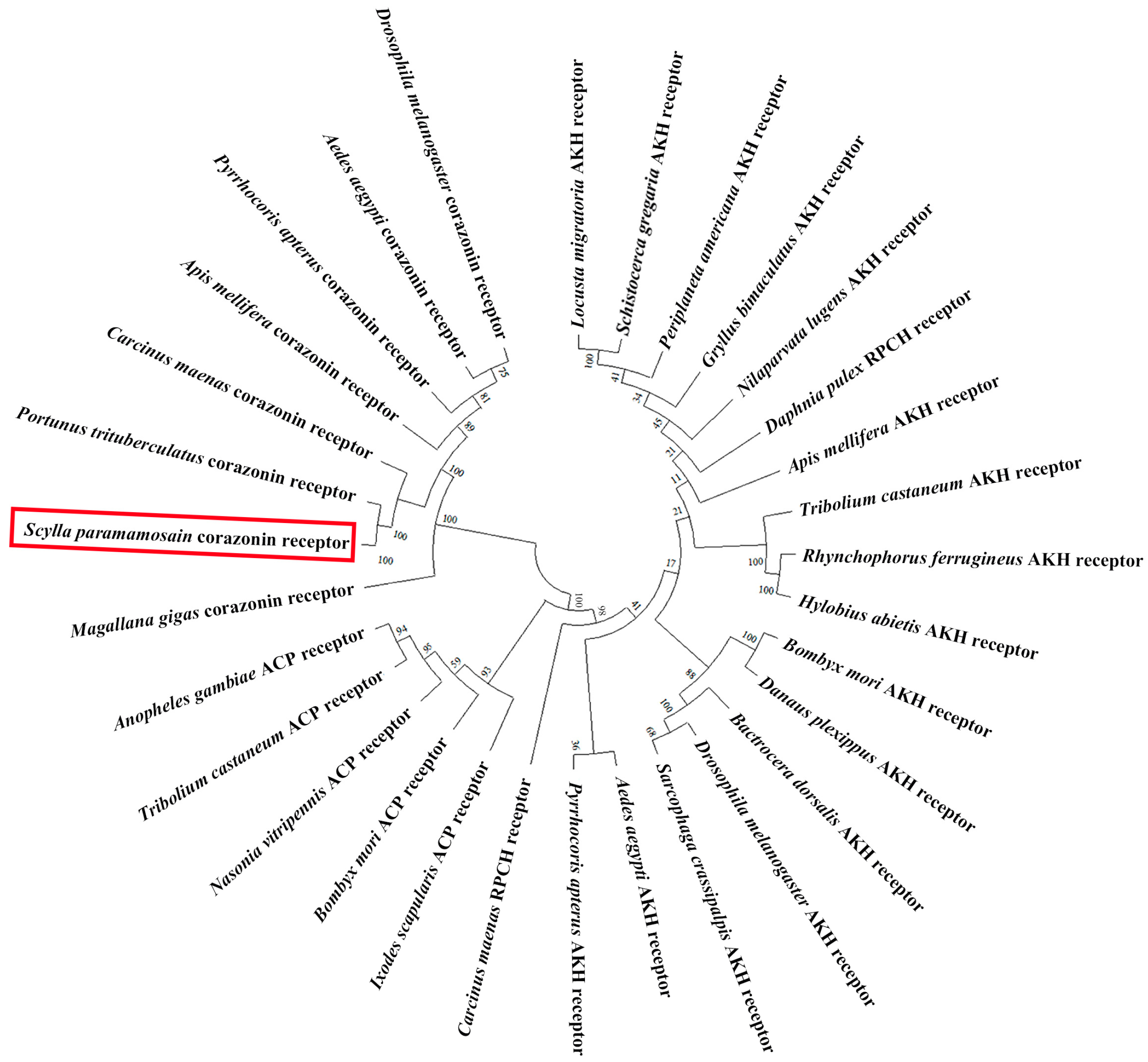 Fishes 10 00329 g004
