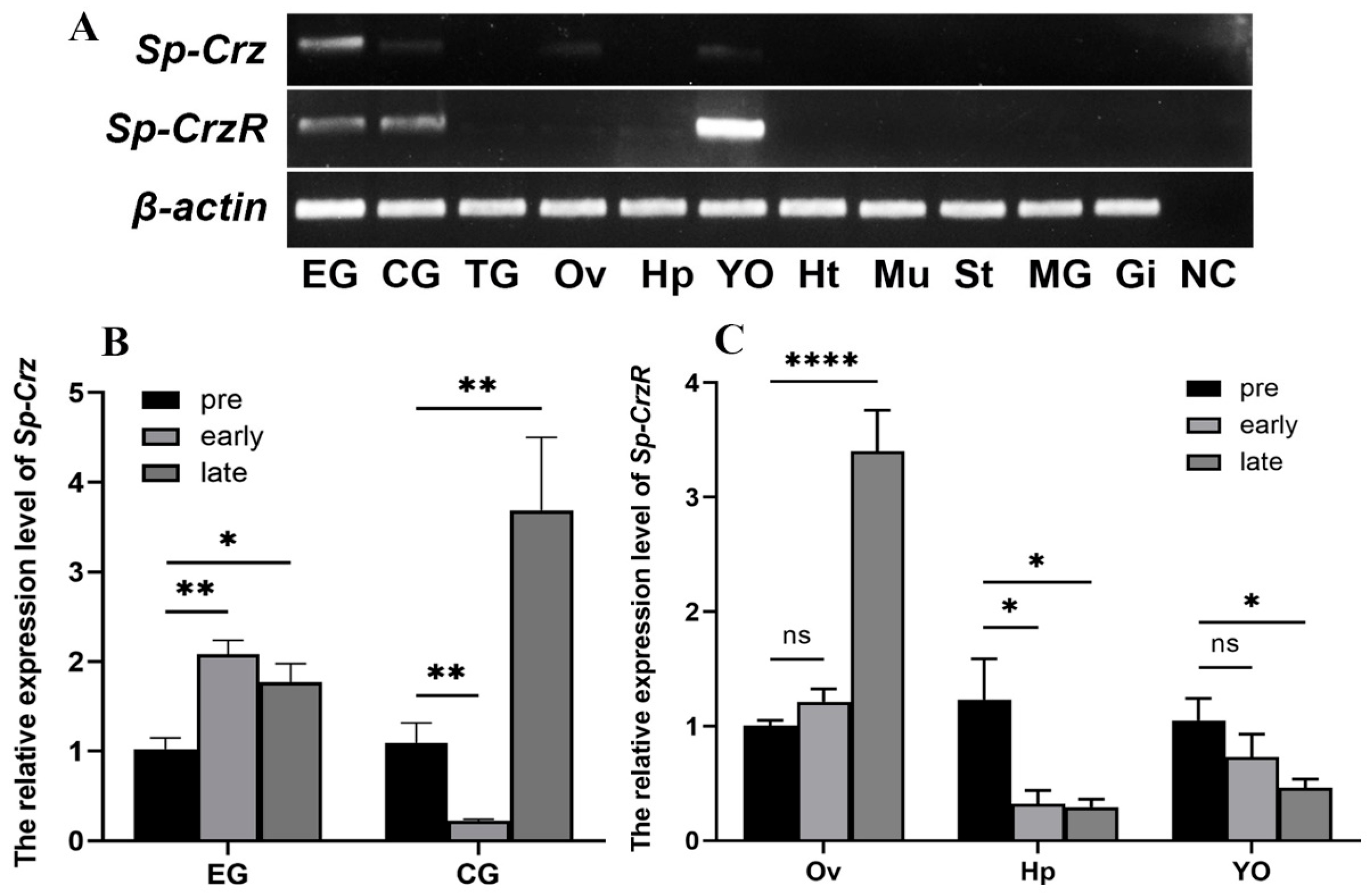 Fishes 10 00329 g005