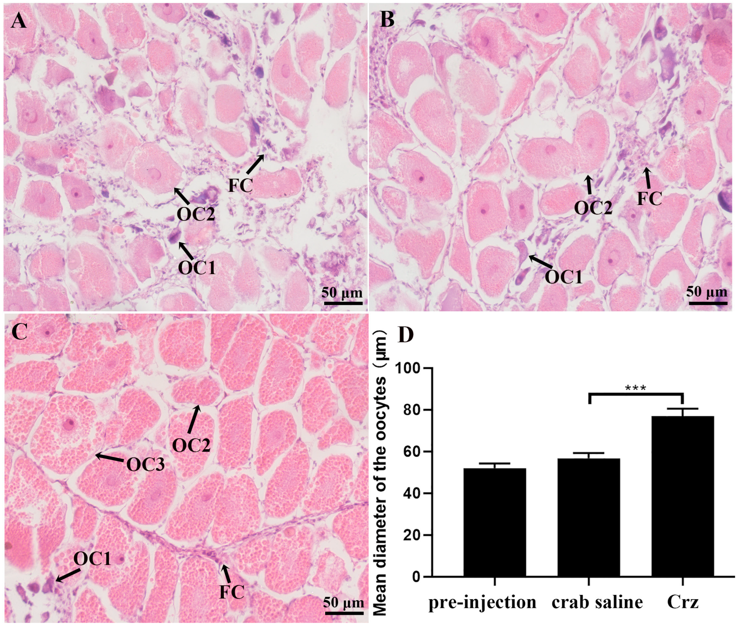 Fishes 10 00329 g010