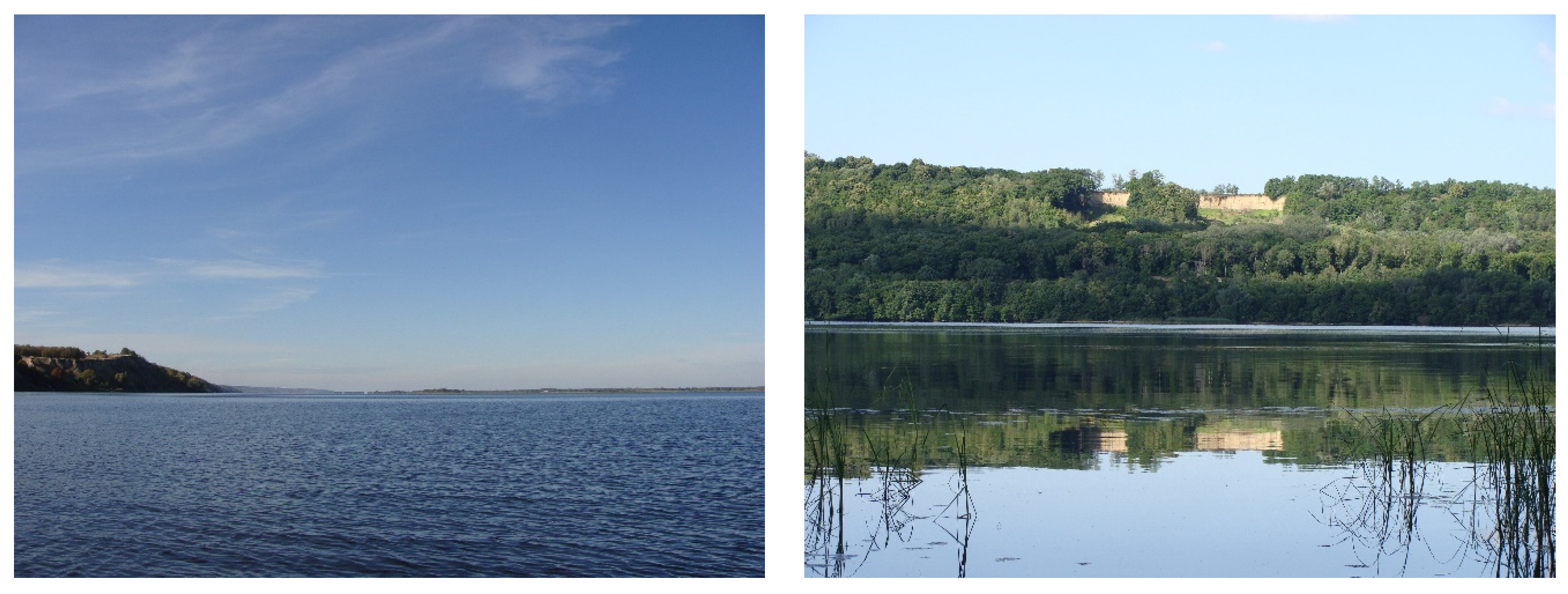 Fishes 10 00330 g002