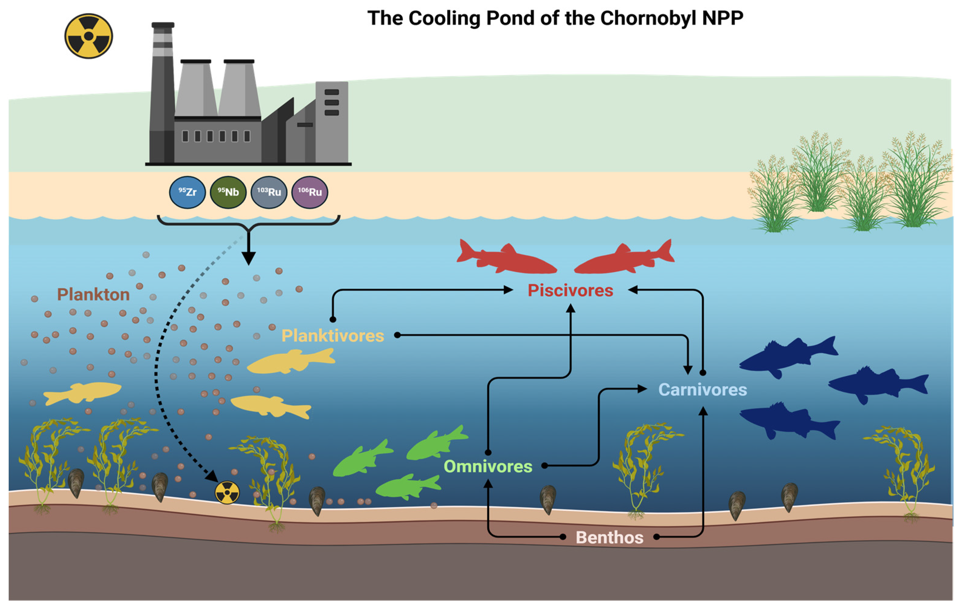 Fishes 10 00330 g010
