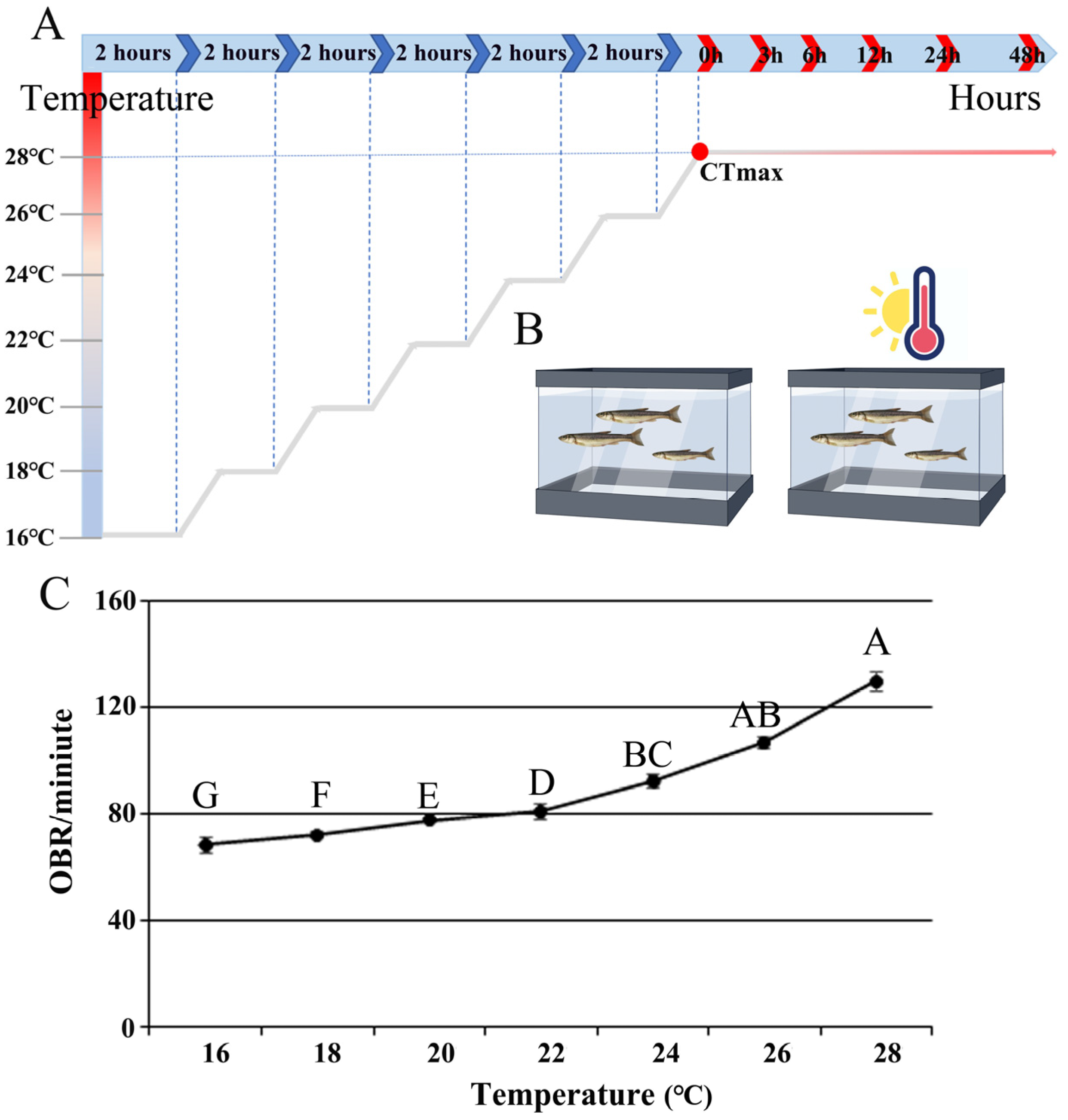 Fishes 10 00335 g001