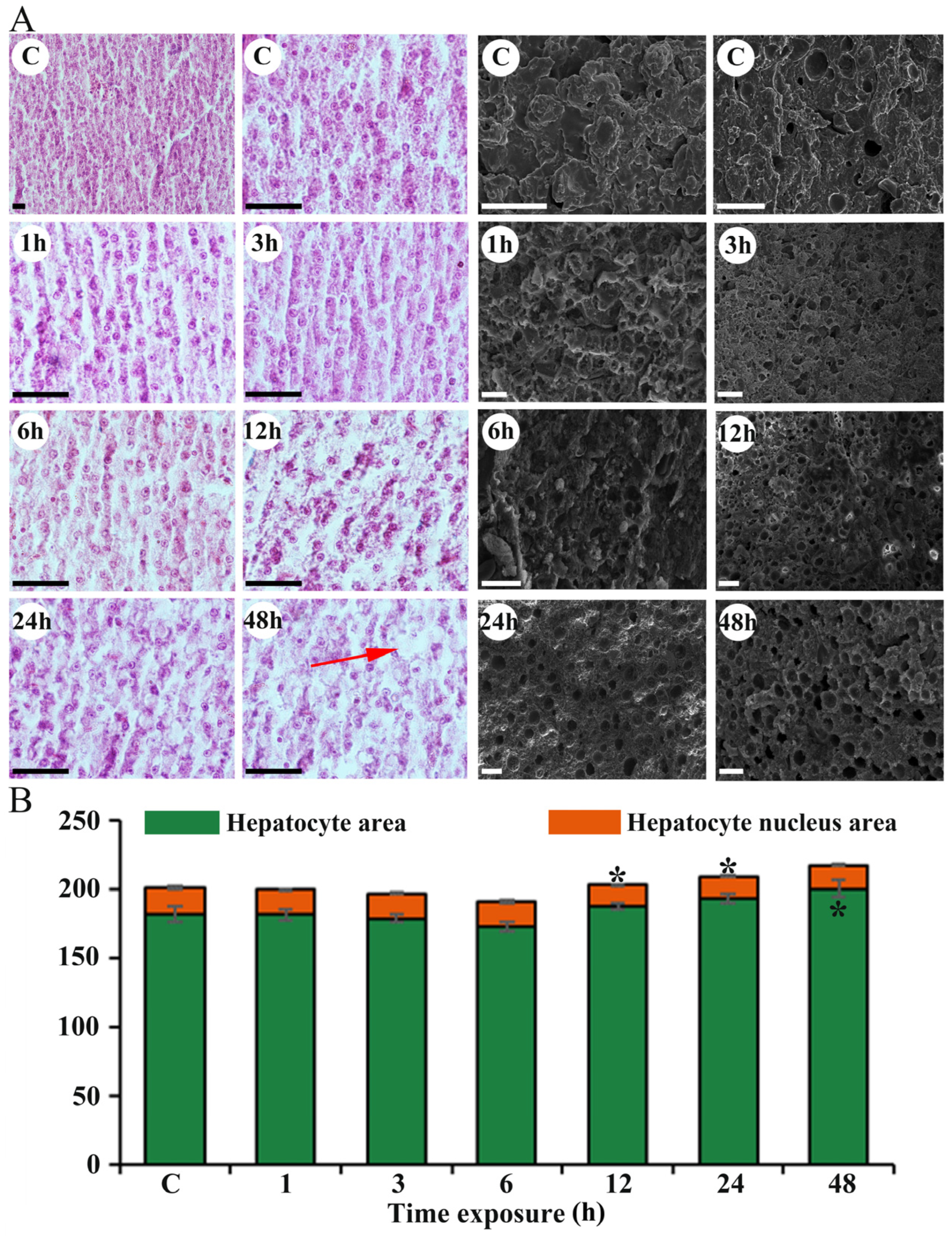 Fishes 10 00335 g005