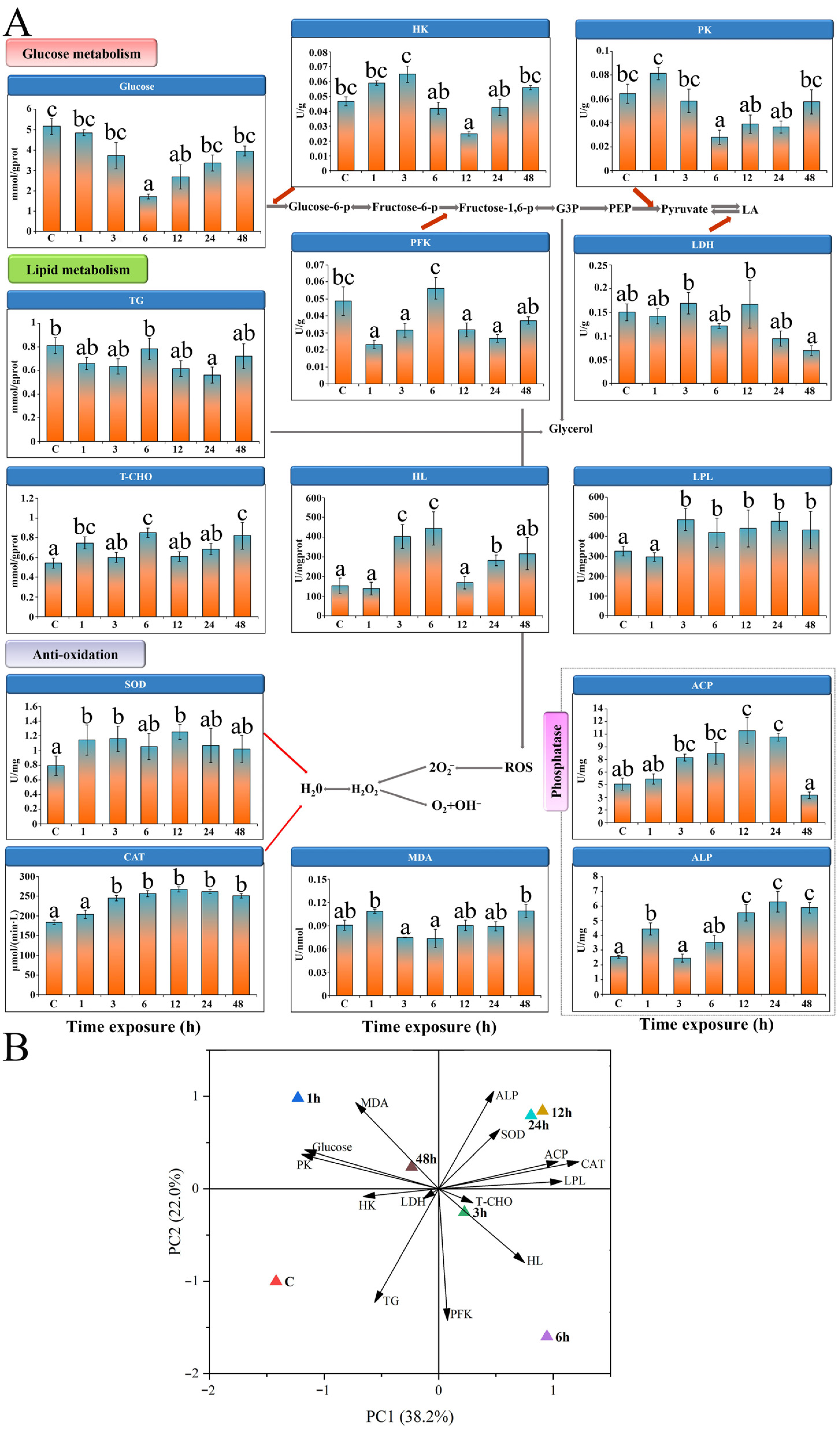 Fishes 10 00335 g006