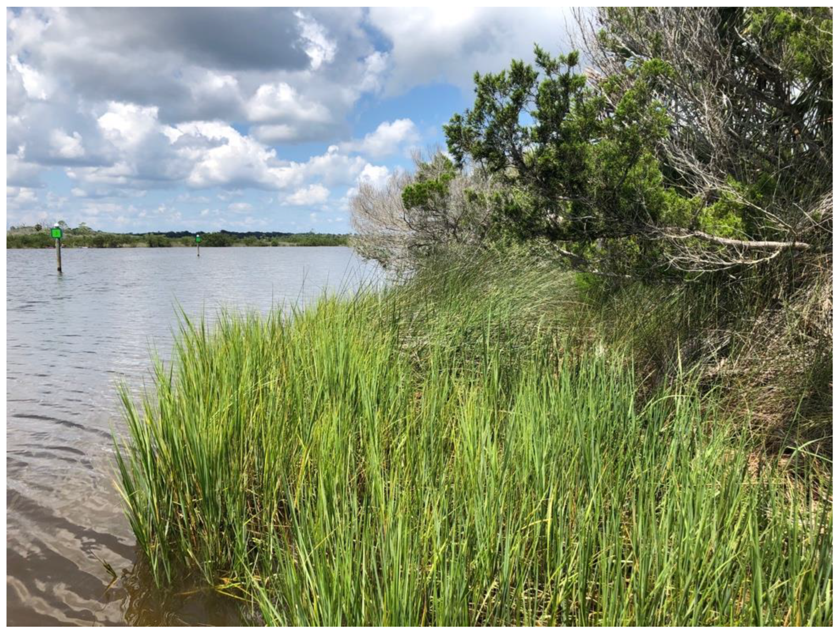 Fishes 10 00336 g003