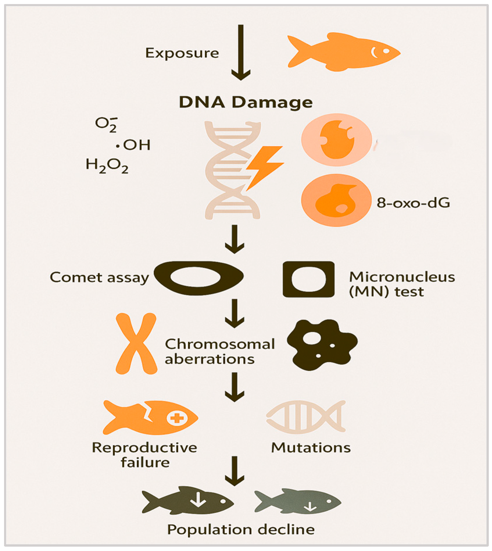 Fishes 10 00339 g004