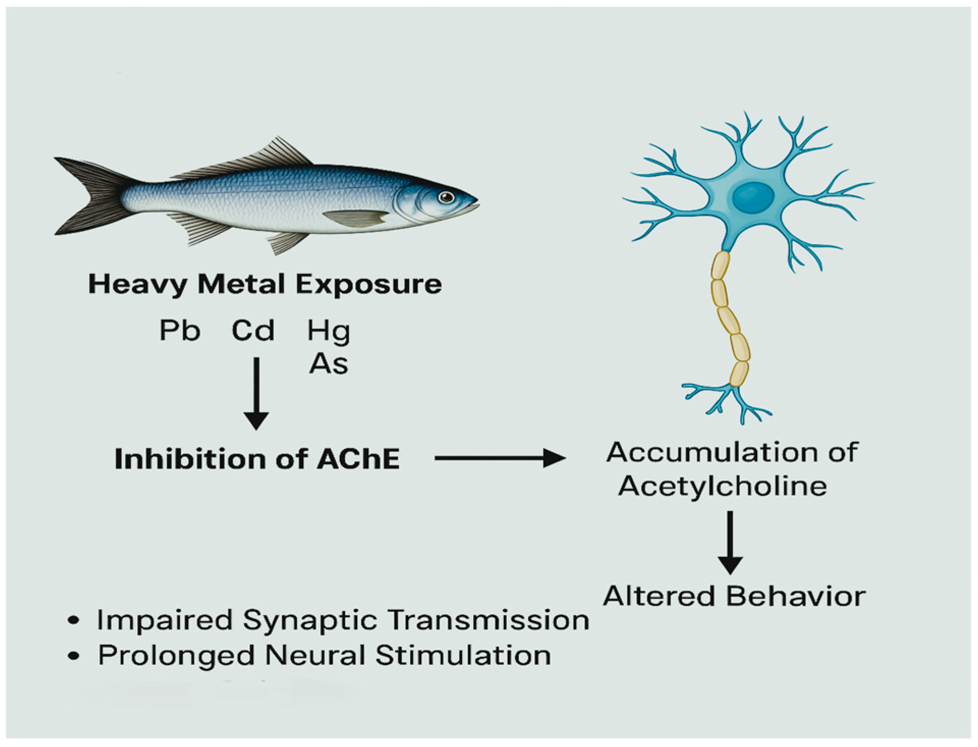 Fishes 10 00339 g007