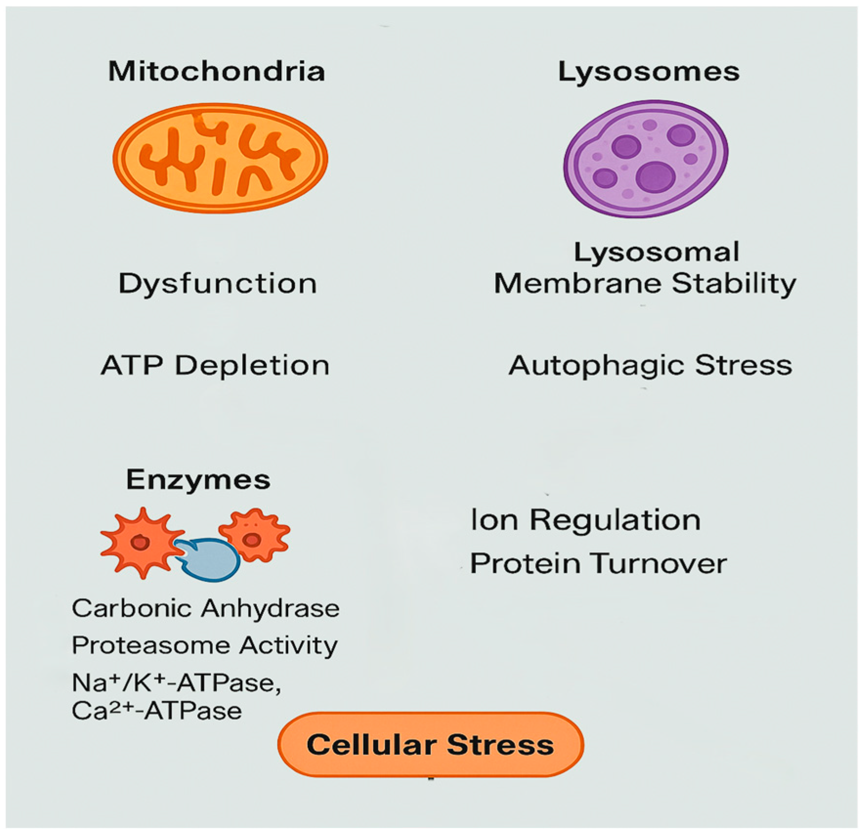 Fishes 10 00339 g009