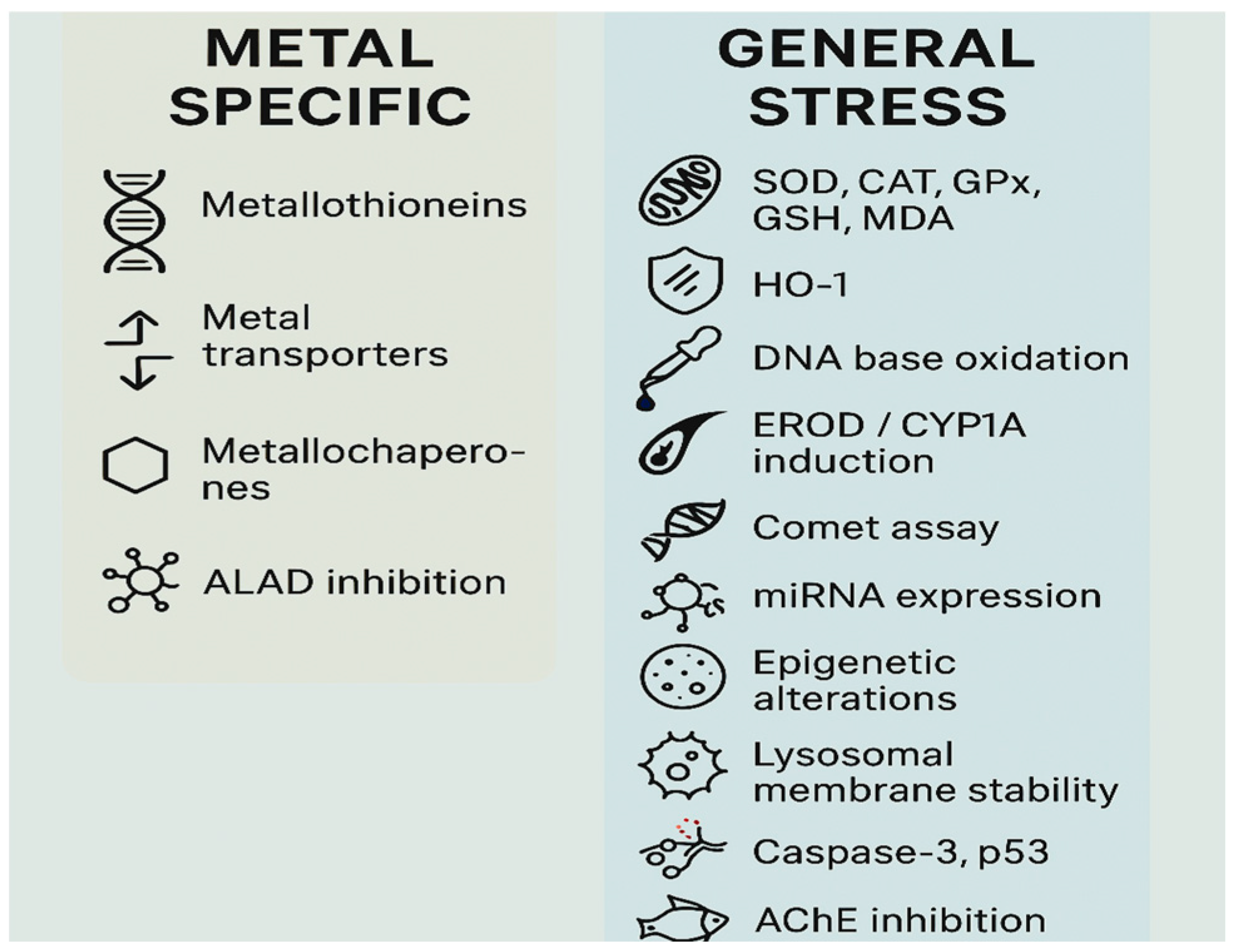 Fishes 10 00339 g011