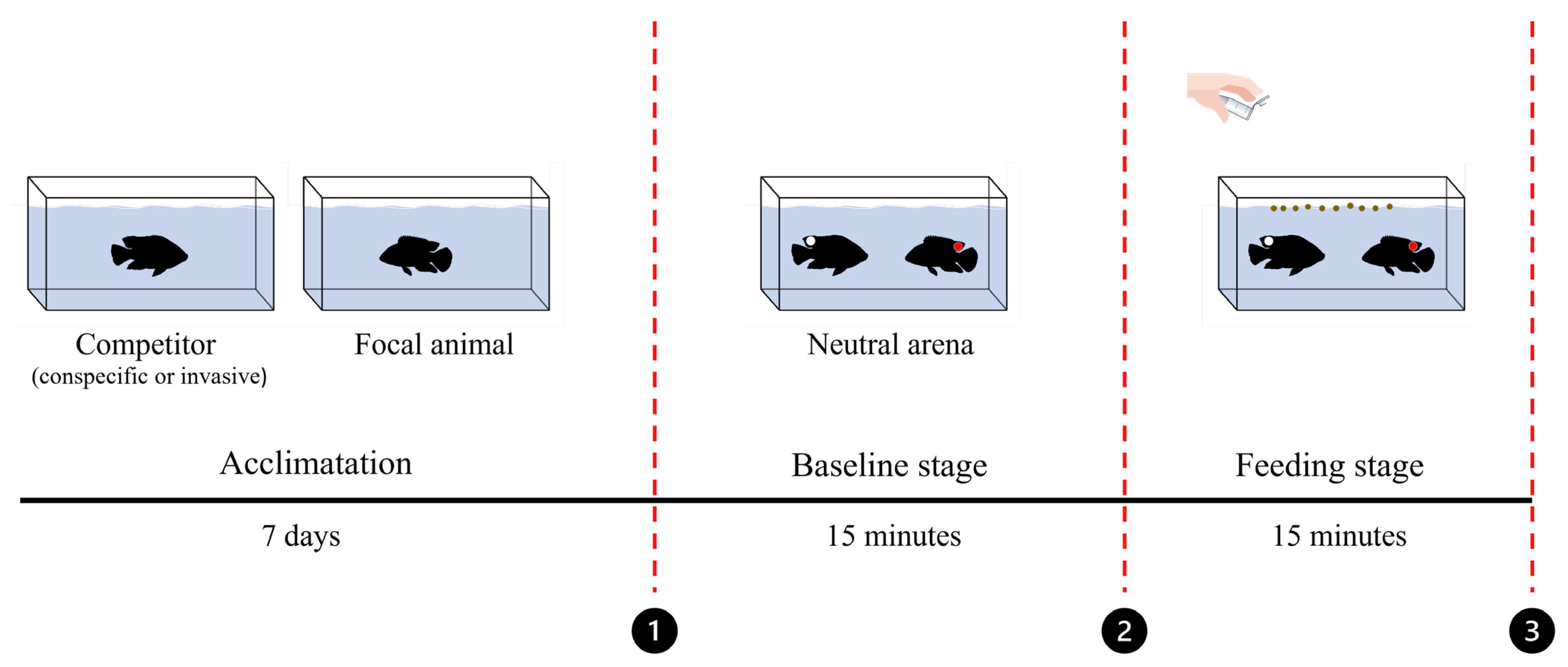 Fishes 10 00340 g001
