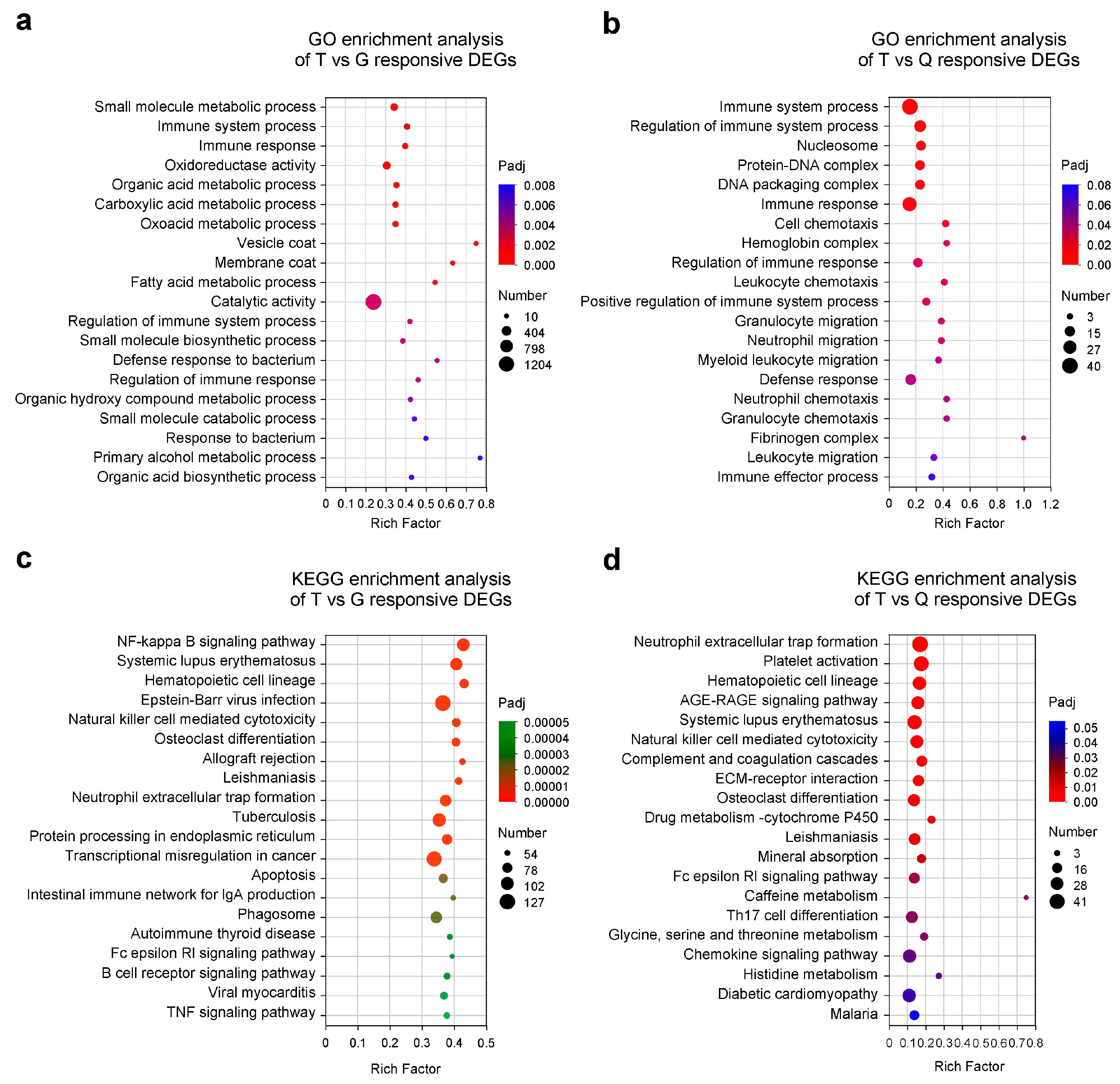 Fishes 10 00341 g003