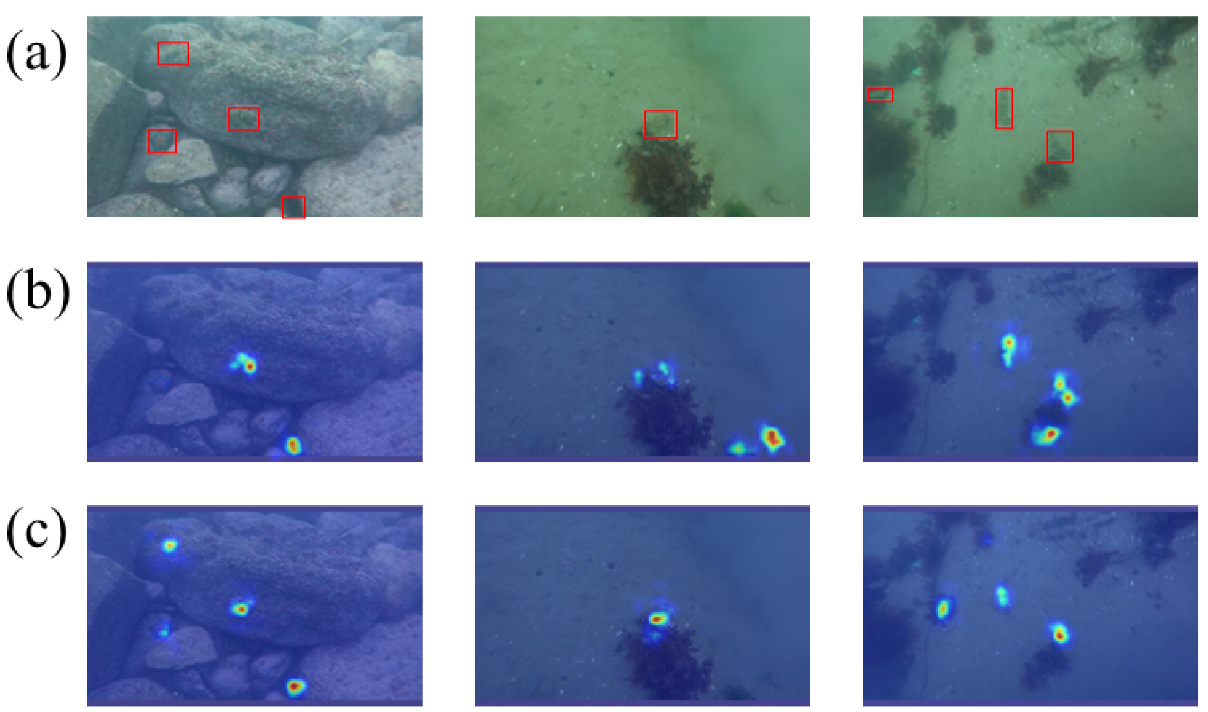 Fishes 10 00348 g007