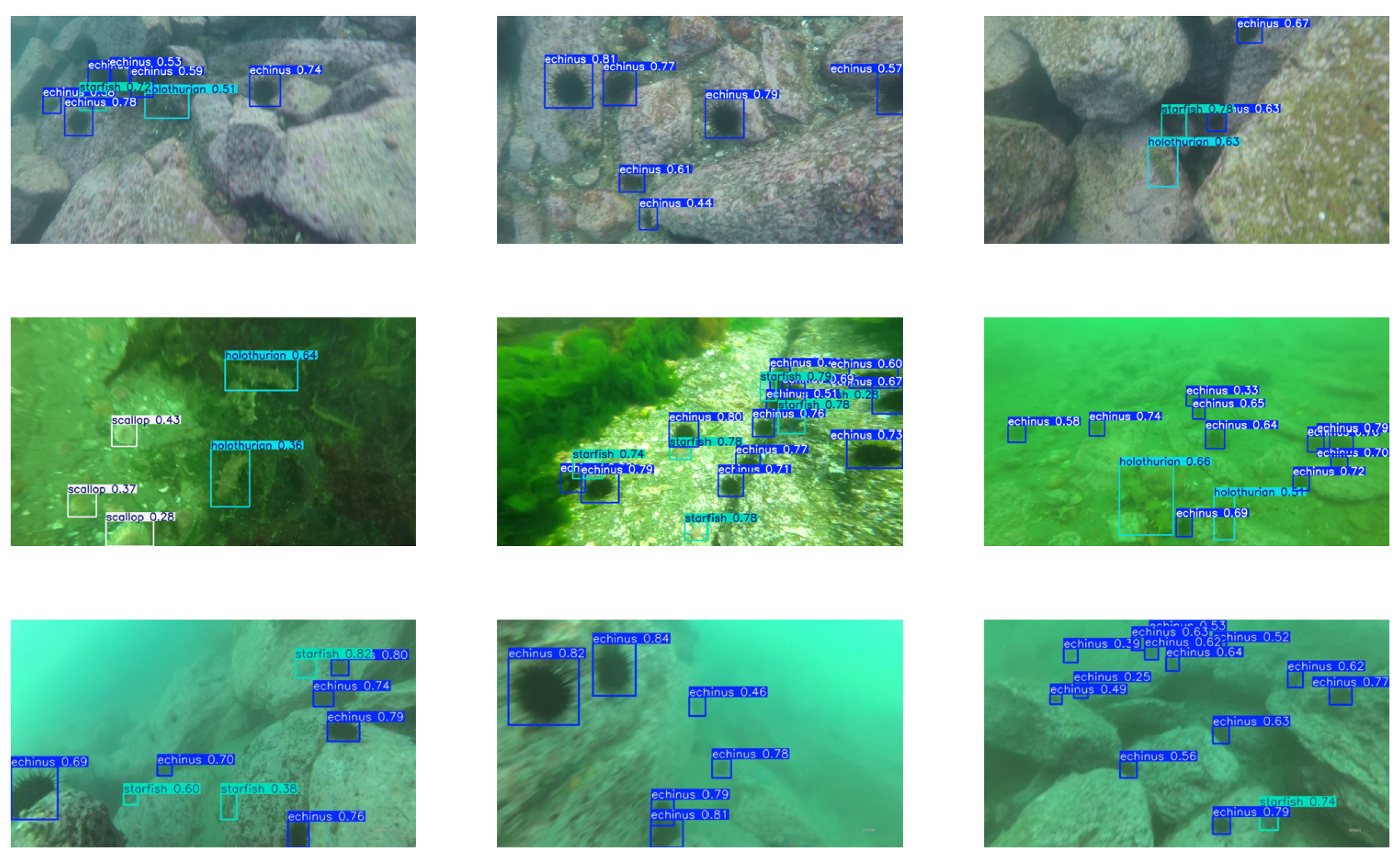 Fishes 10 00348 g009