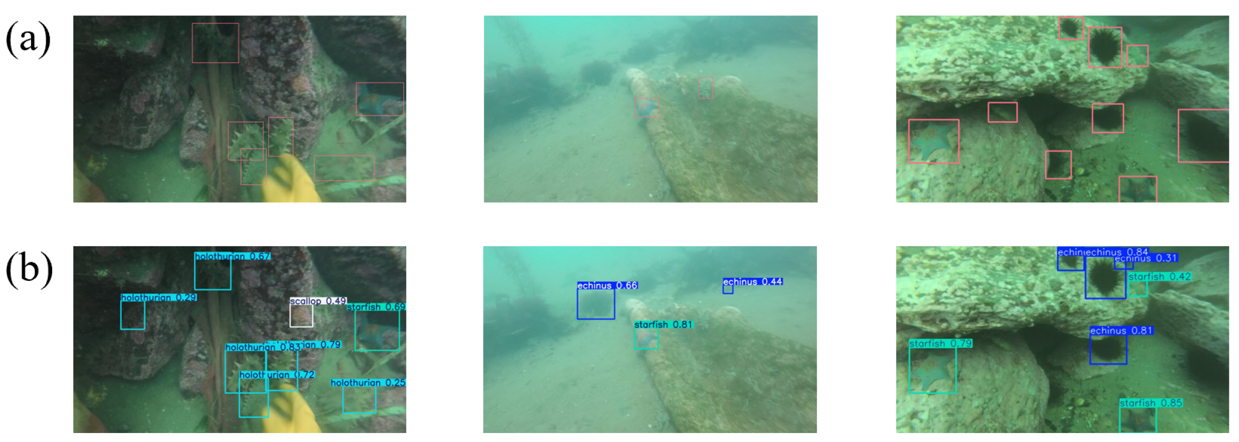 Fishes 10 00348 g010