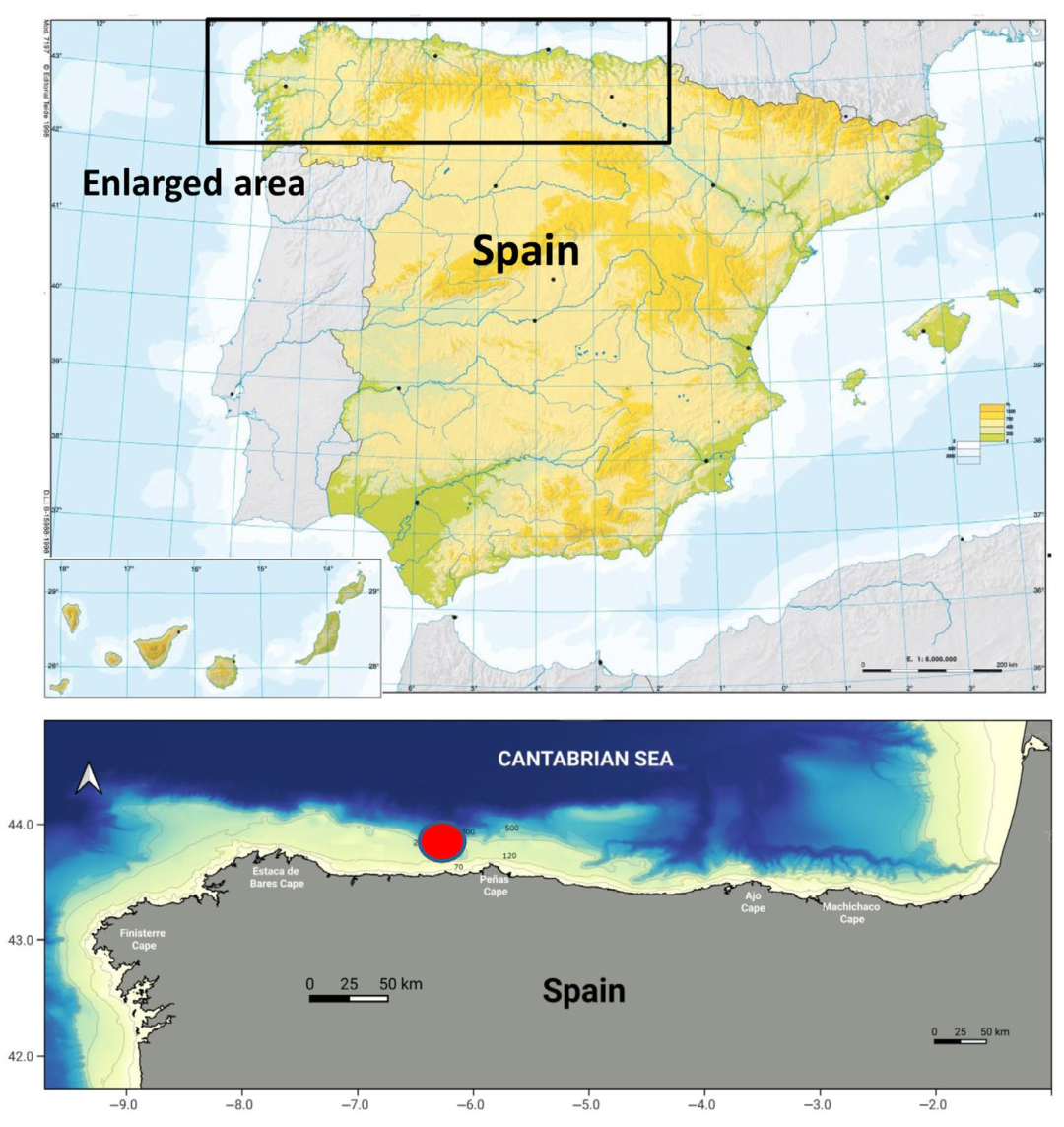 Fishes 10 00351 g001