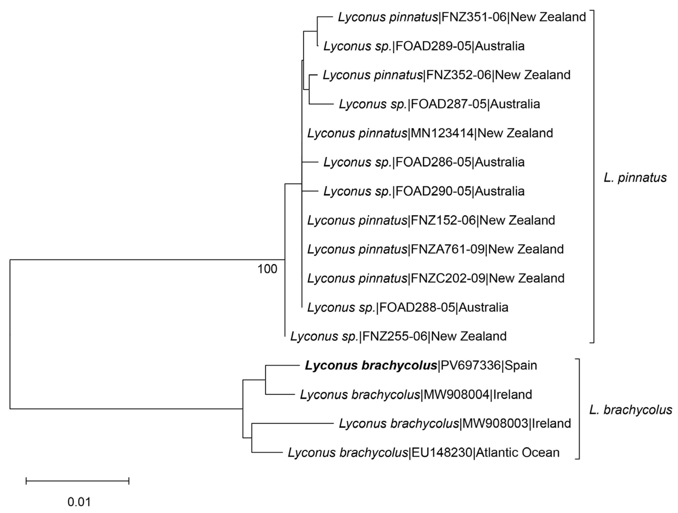 Fishes 10 00351 g003
