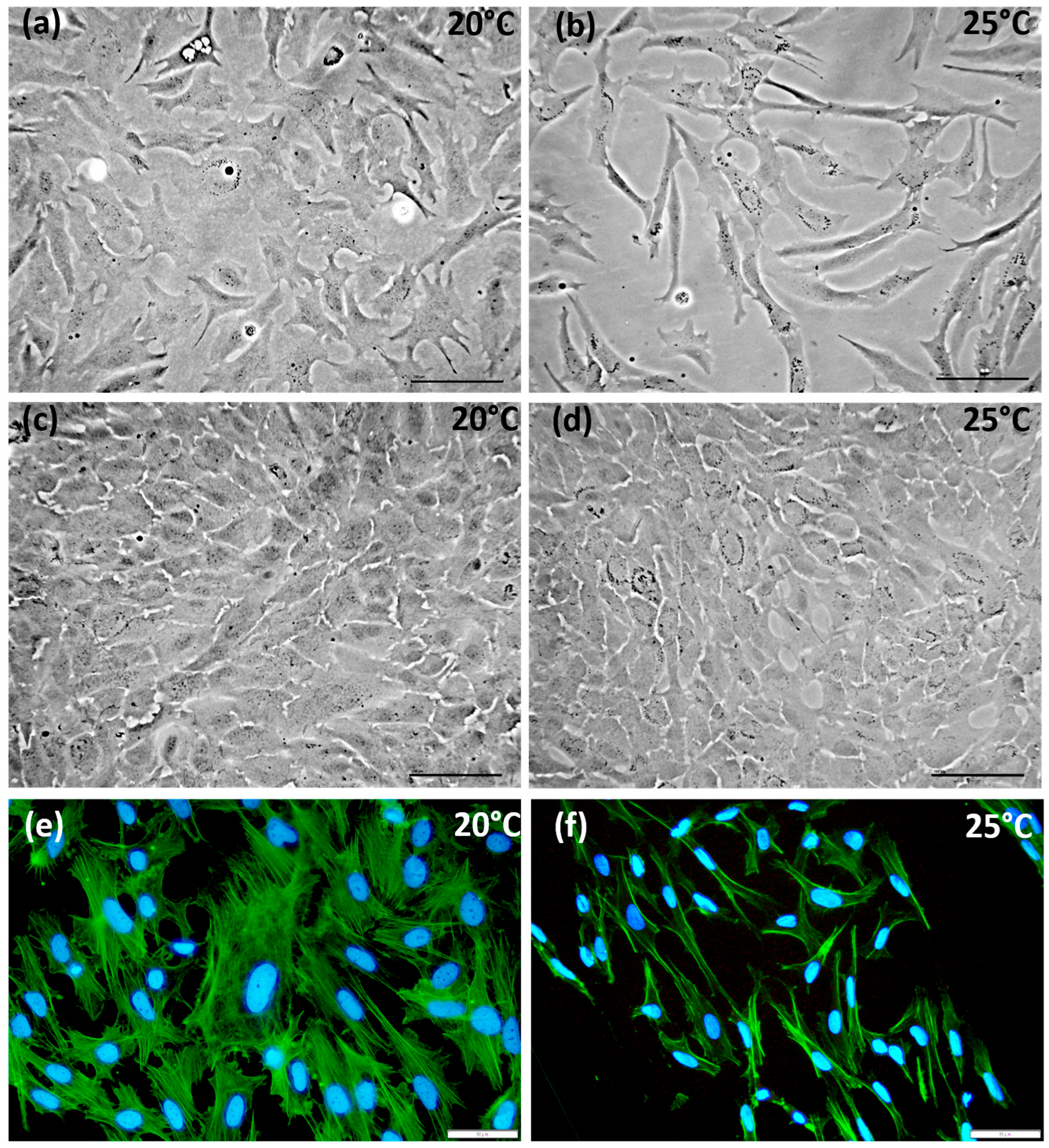 Fishes 10 00352 g001 Fishes 10 00352 g001