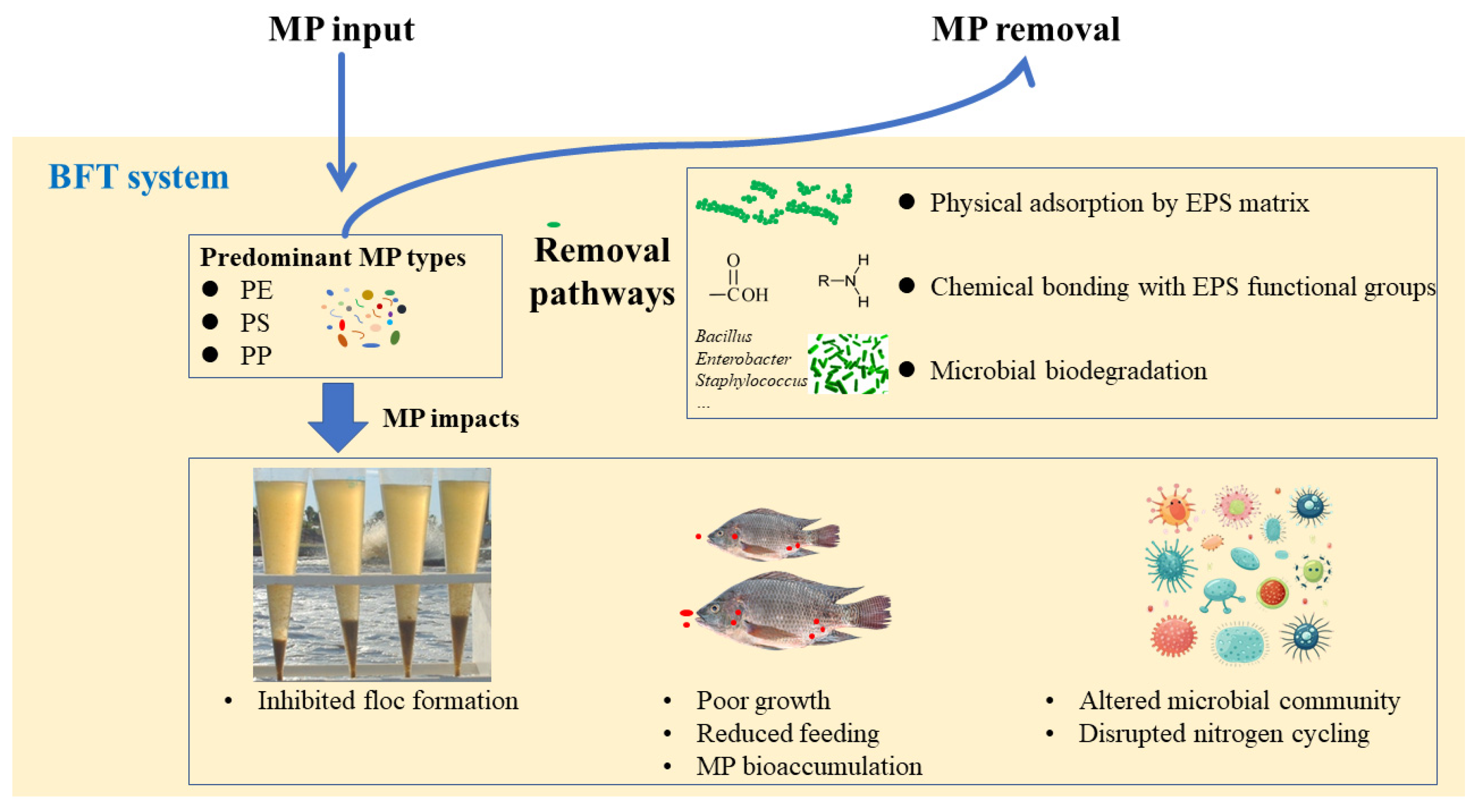 Fishes 10 00353 g002