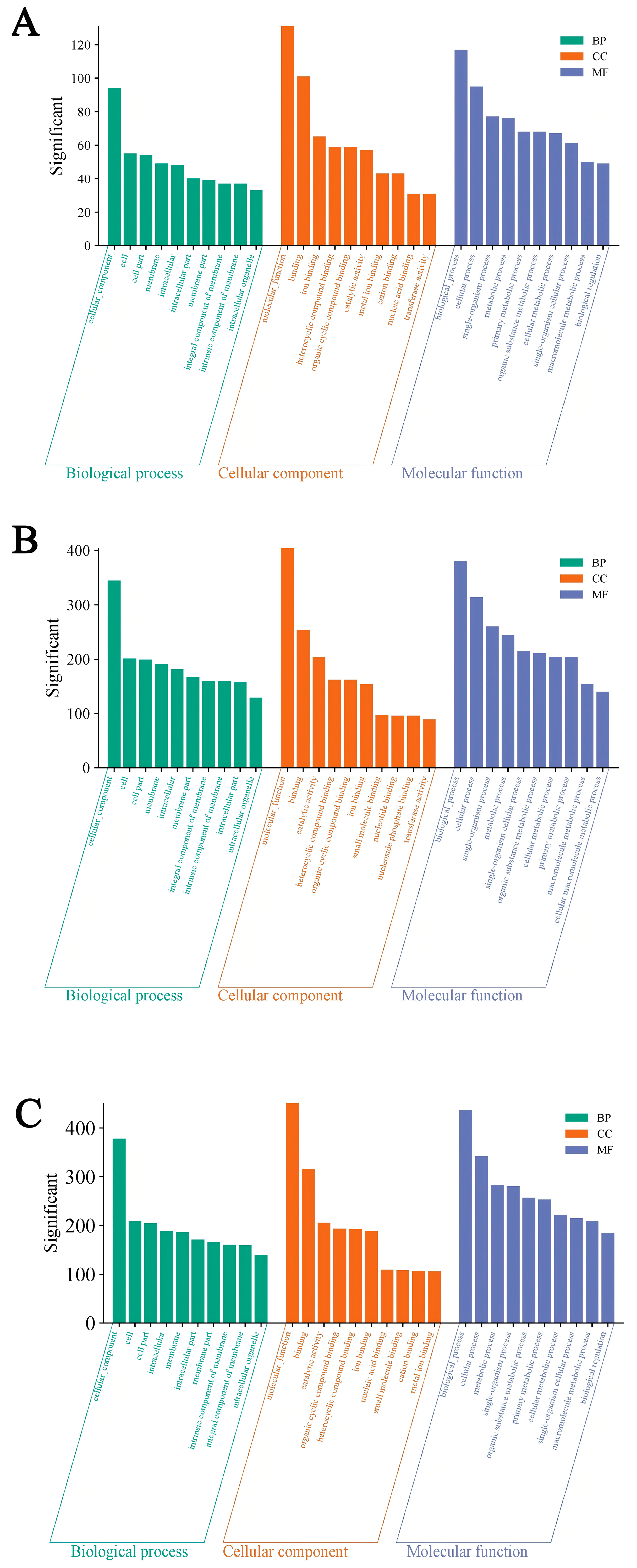 Fishes 10 00355 g003