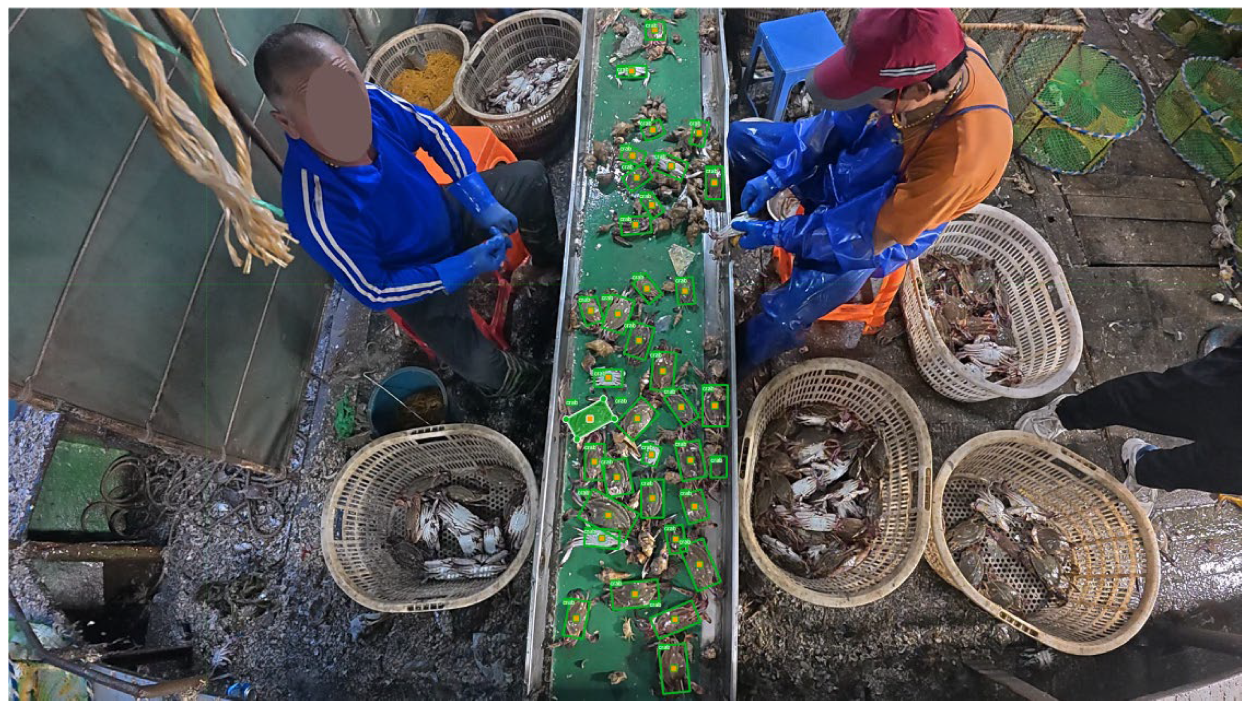 Fishes 10 00364 g002