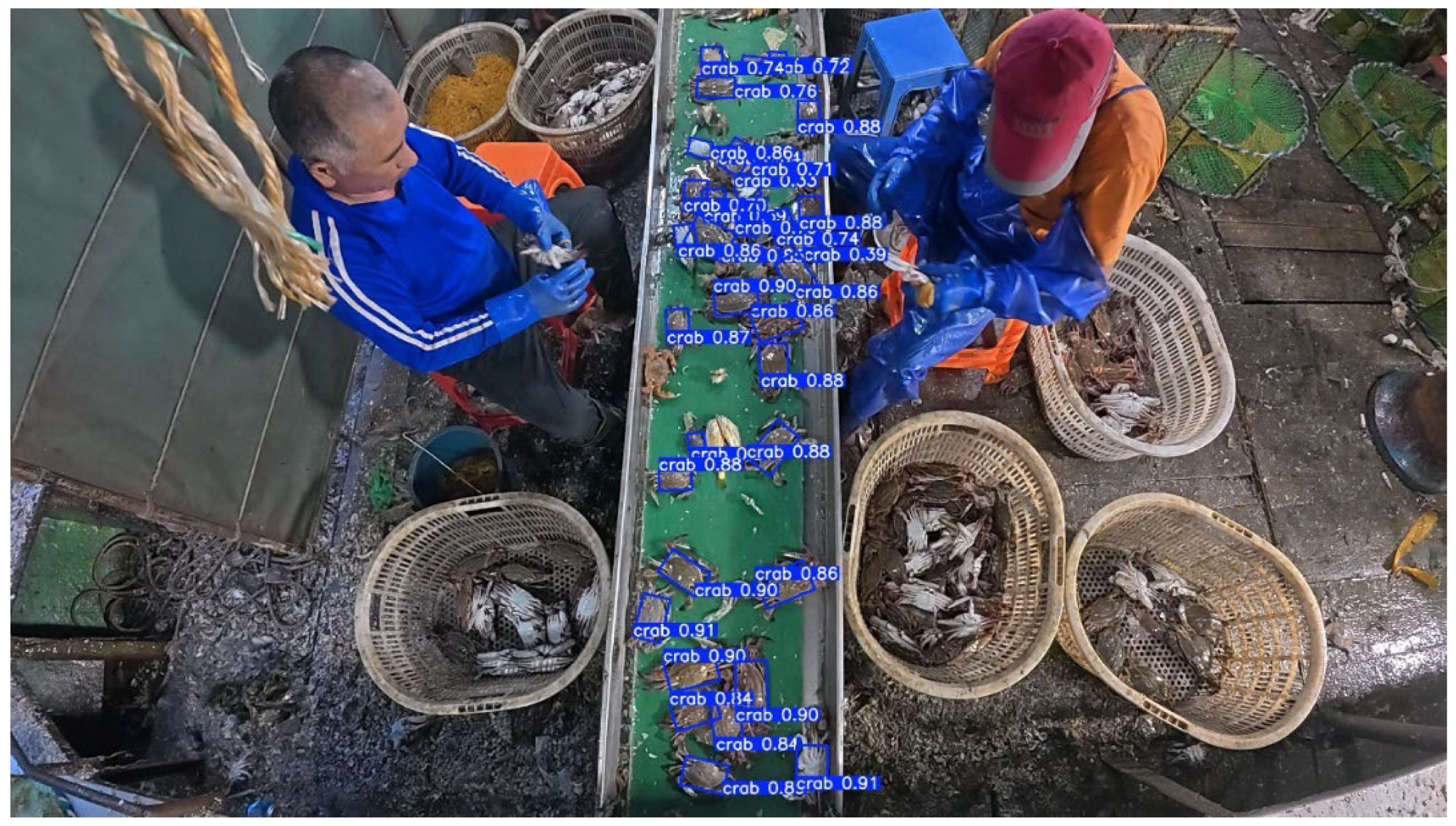 Fishes 10 00364 g011