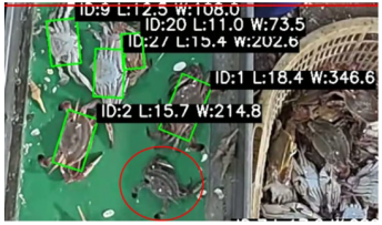 Fishes 10 00364 i001