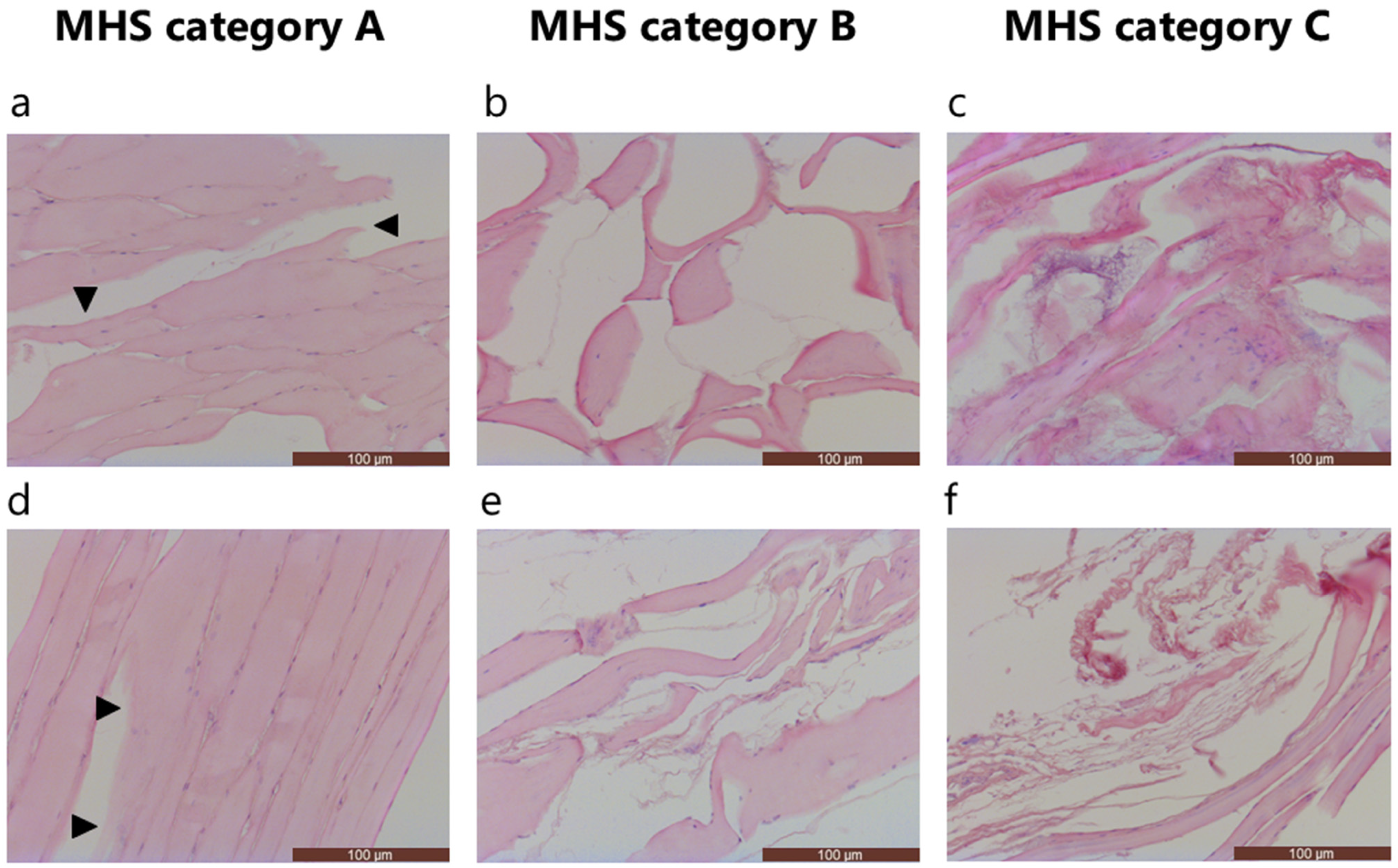 Fishes 10 00367 g002