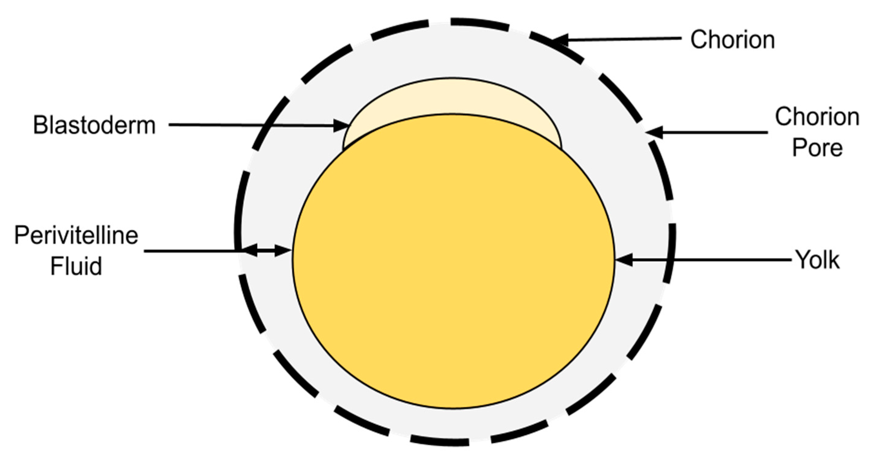 Fishes 10 00369 g001