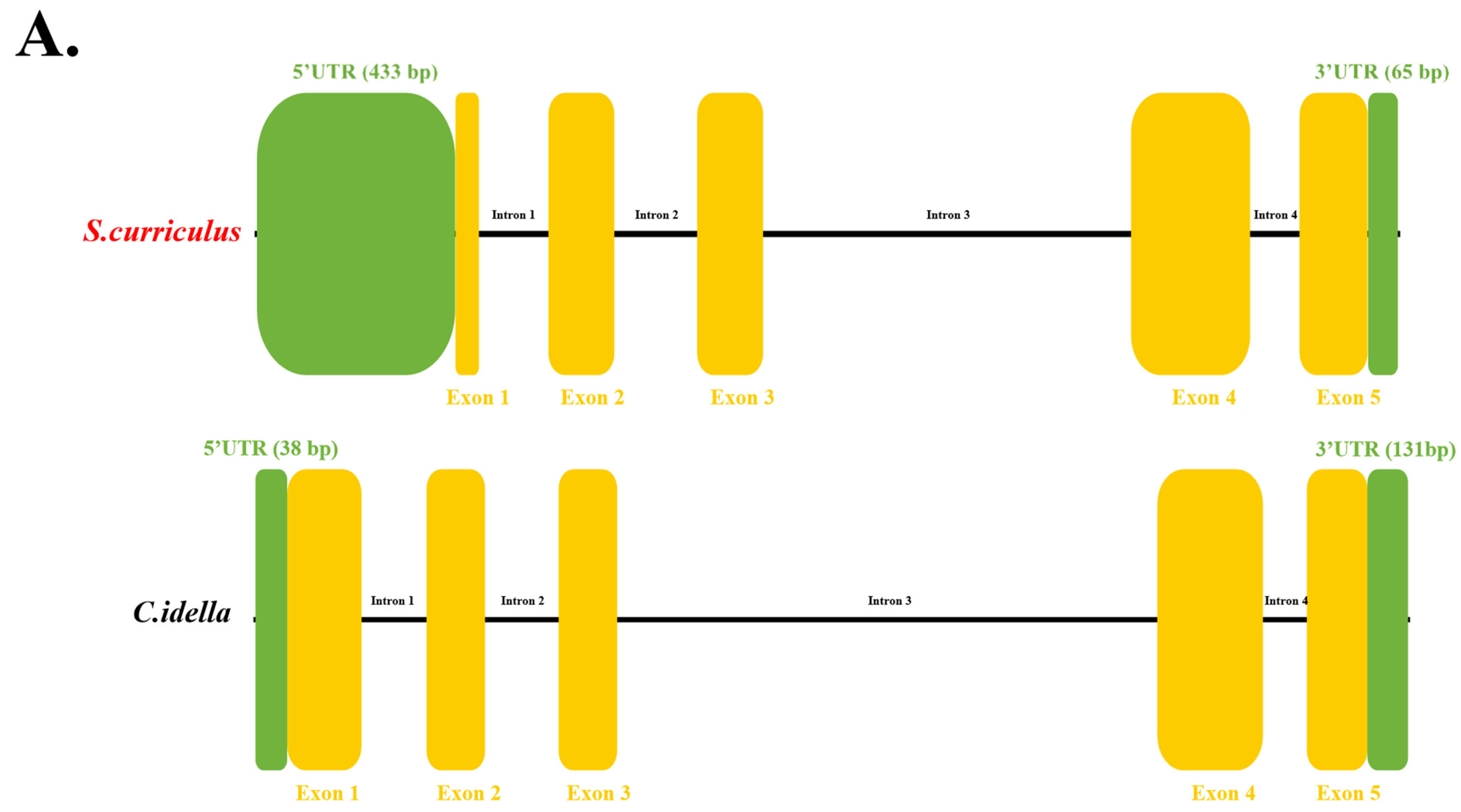 Fishes 10 00370 g001a