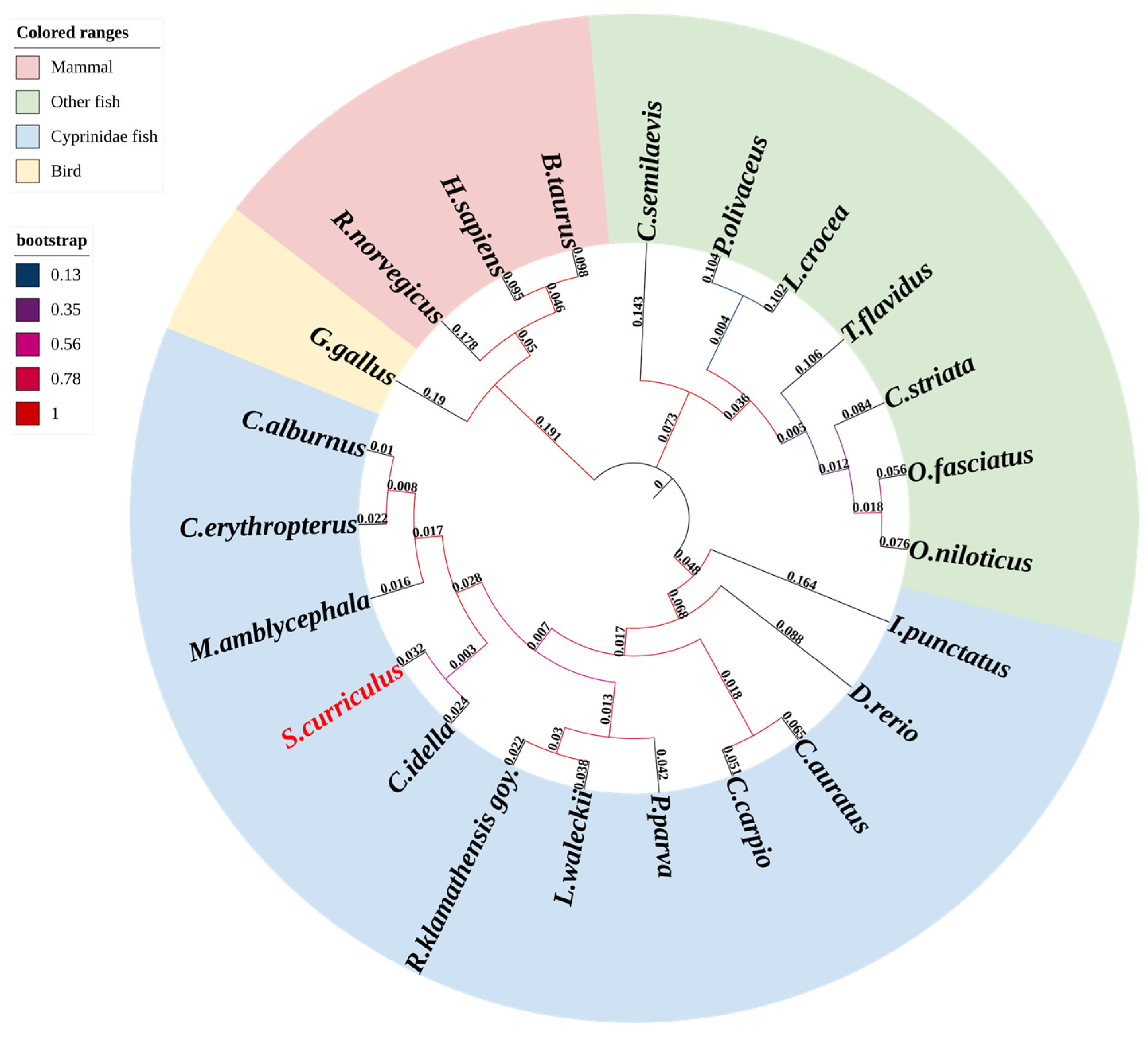Fishes 10 00370 g003