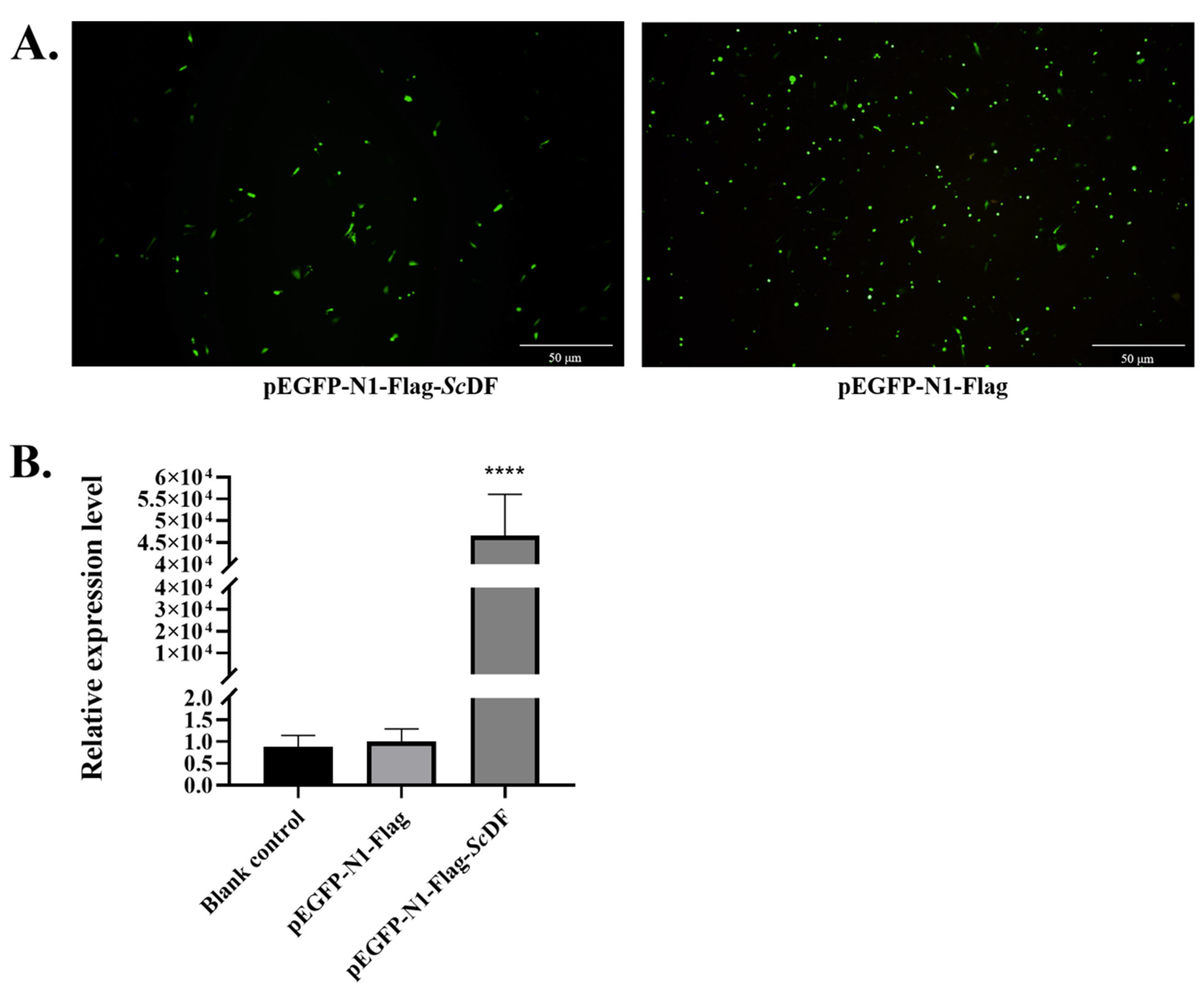 Fishes 10 00370 g005a