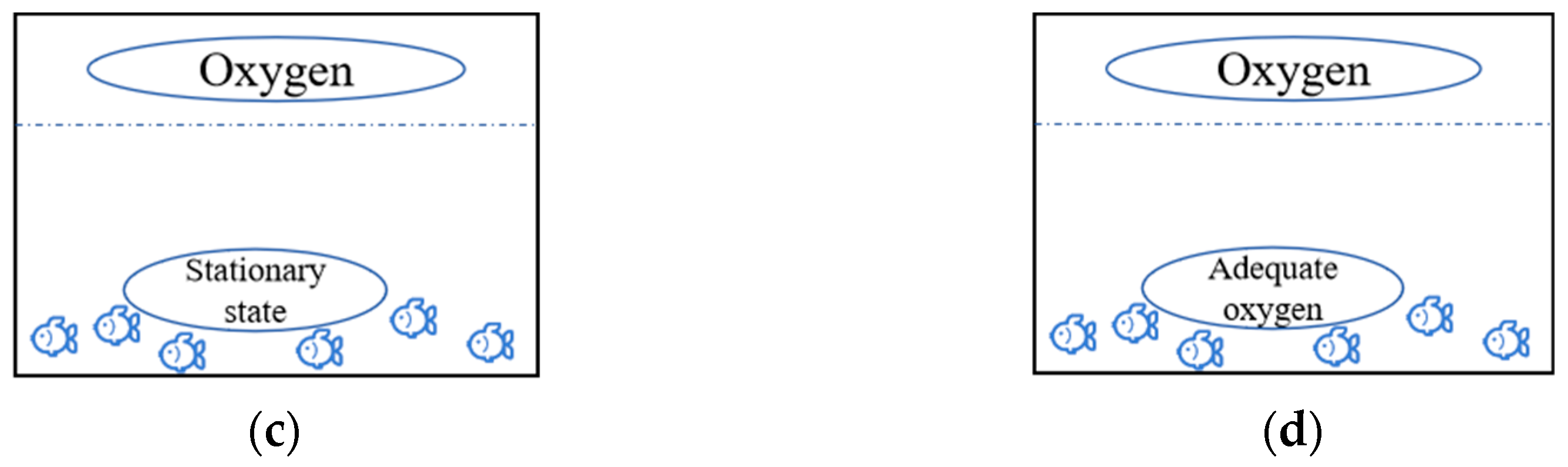 Fishes 10 00372 g003b