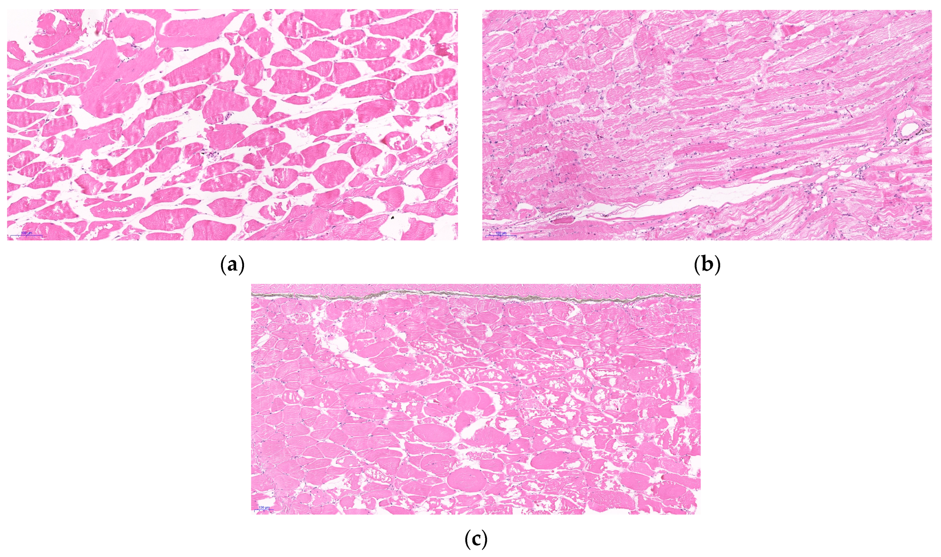 Fishes 10 00372 g008