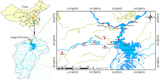 An Assessment of the Population Structure and Stock Dynamics of
