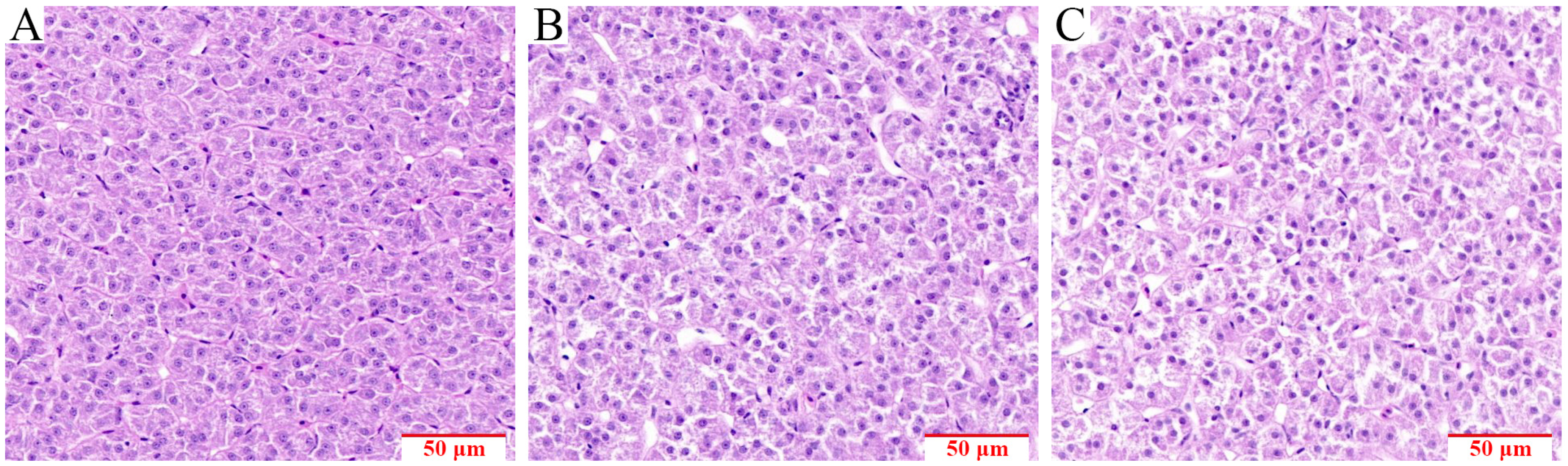 Fishes 10 00379 g001