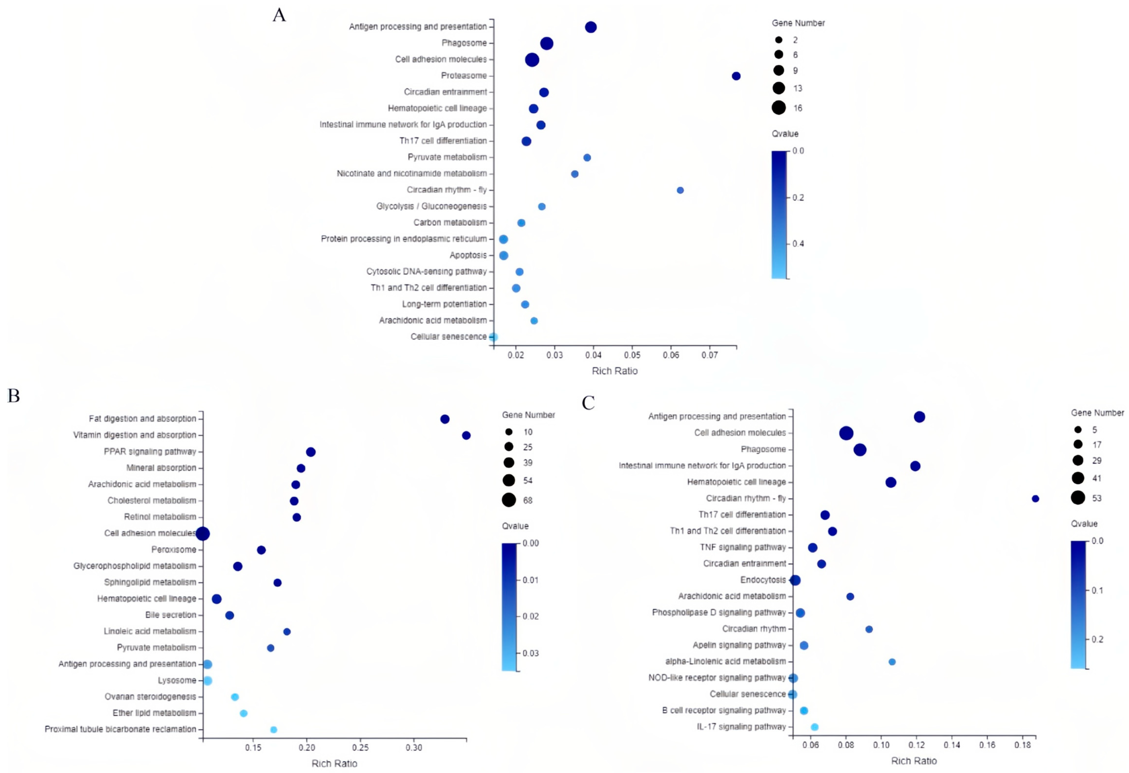 Fishes 10 00380 g005 Fishes 10 00380 g005