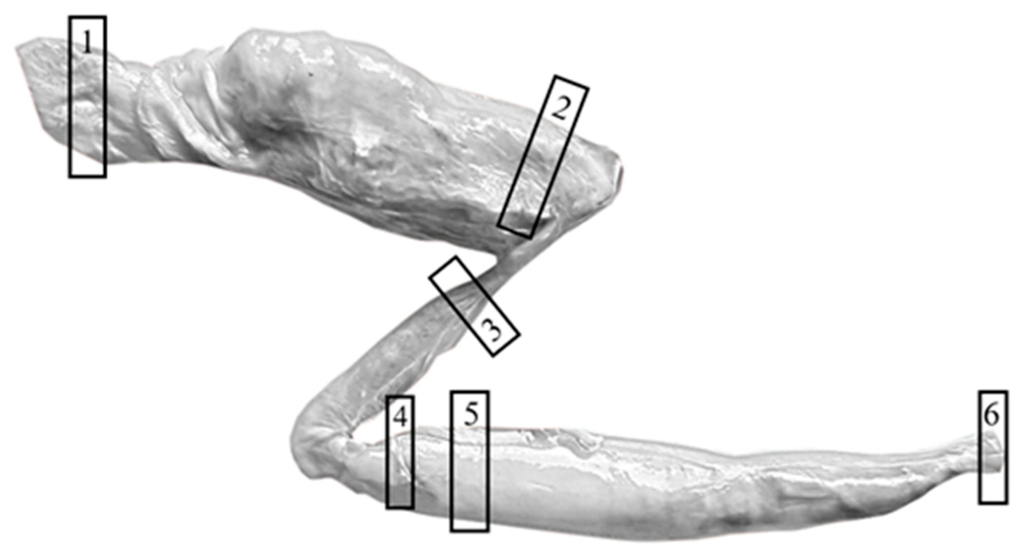 Fishes 10 00386 g001 Fishes 10 00386 g001
