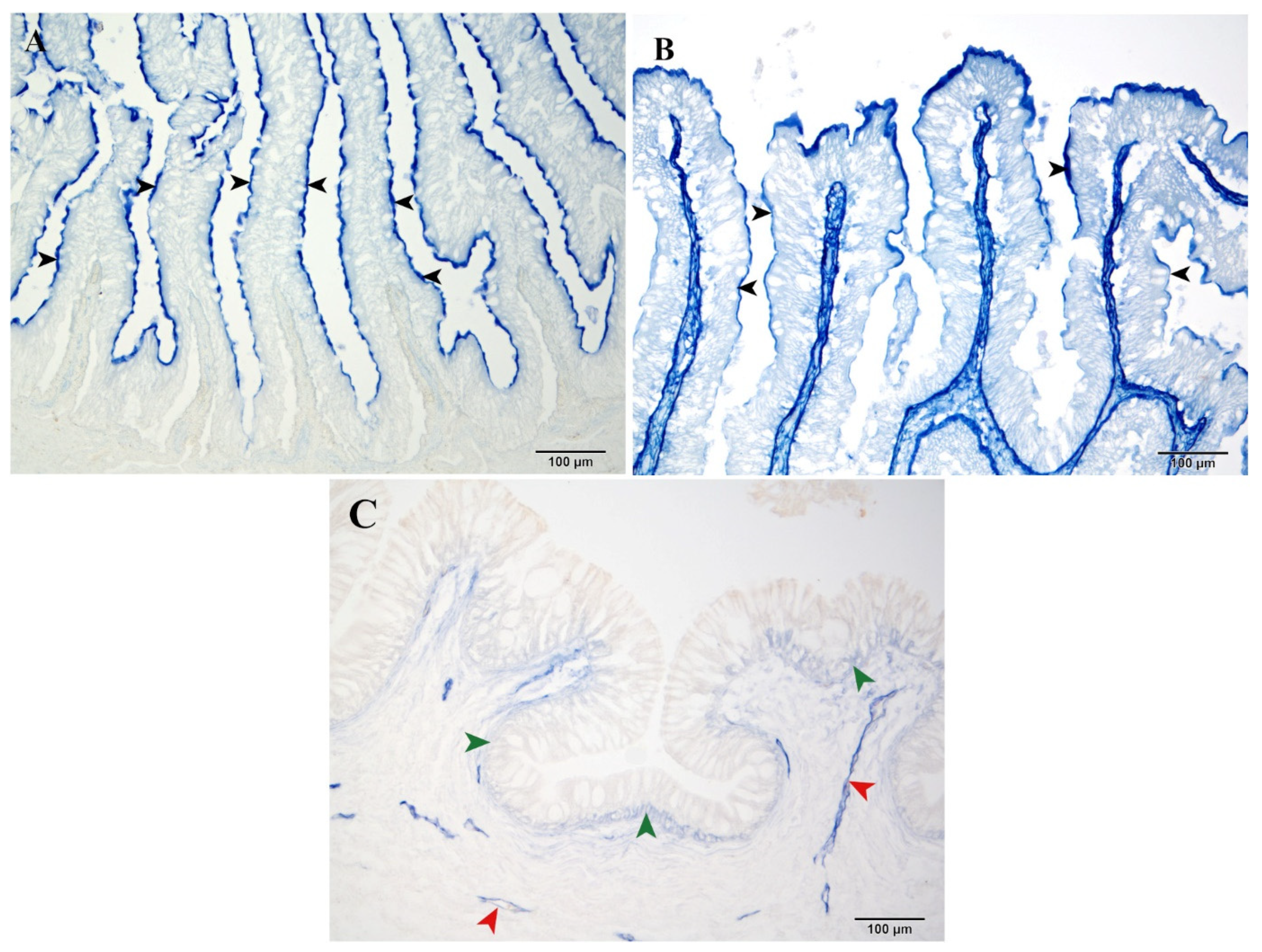 Fishes 10 00386 g002 Fishes 10 00386 g002