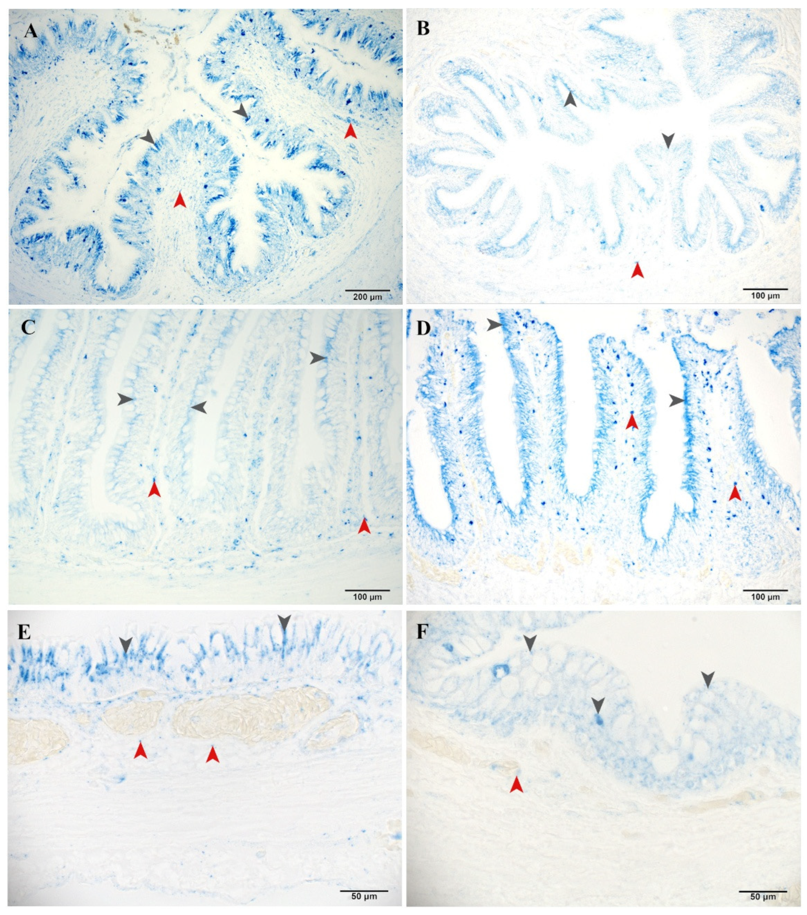 Fishes 10 00386 g005 Fishes 10 00386 g005