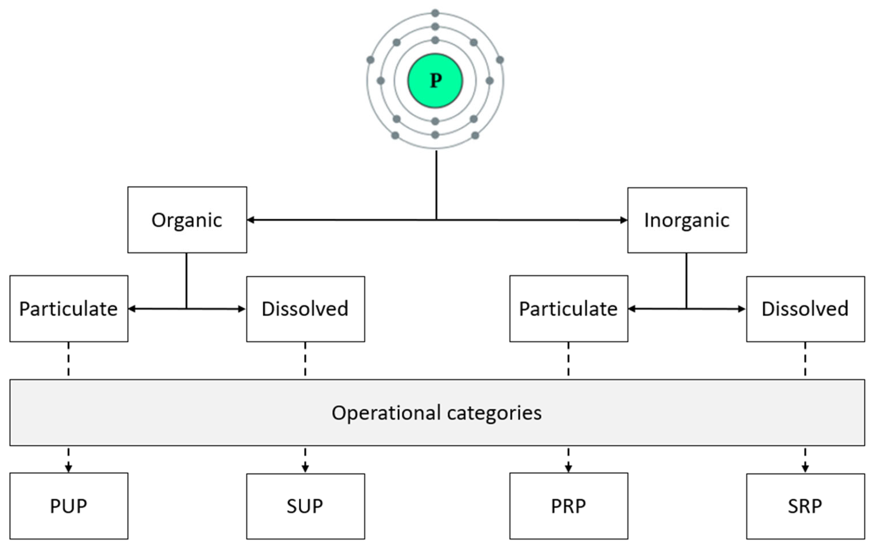 Fishes 10 00388 g002