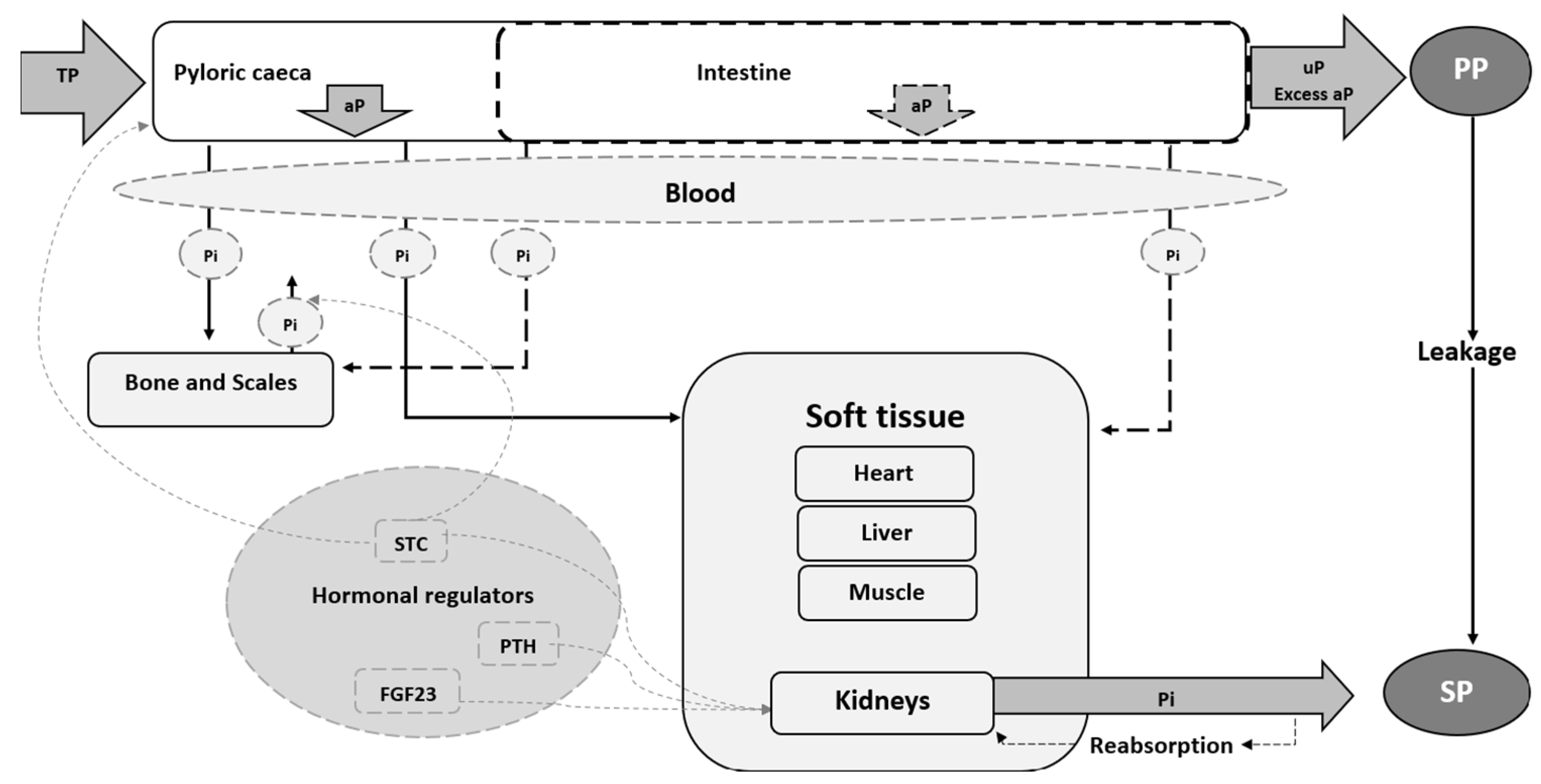 Fishes 10 00388 g004