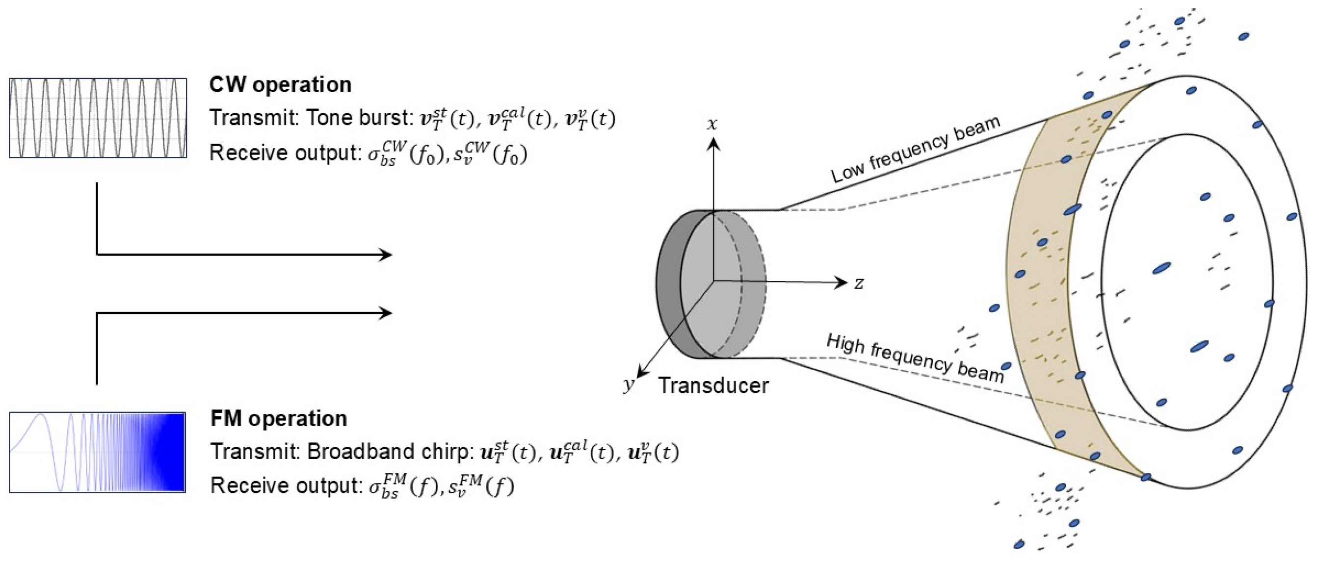 Fishes 10 00389 g001