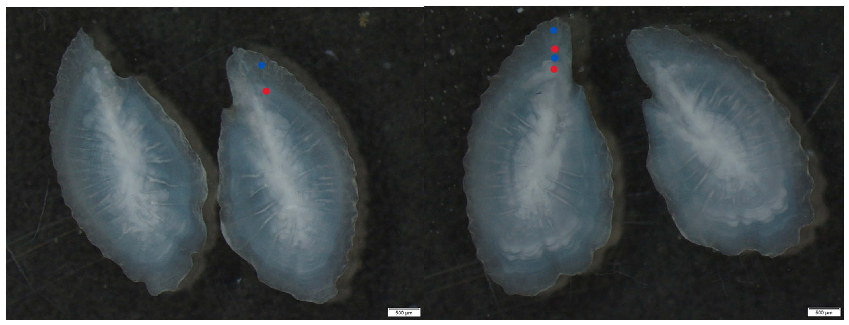 Fishes 10 00390 g002