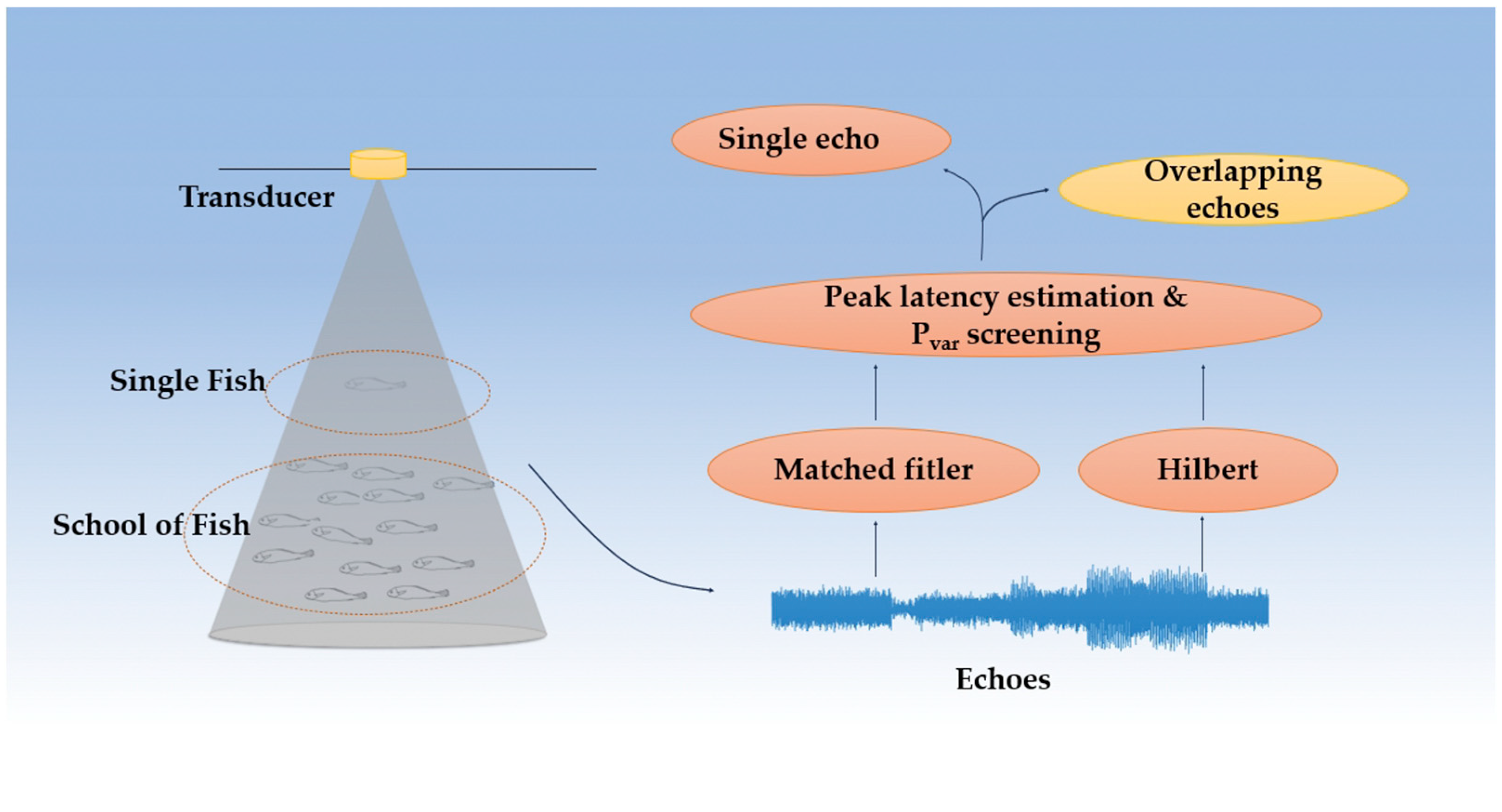 Fishes 10 00391 g003