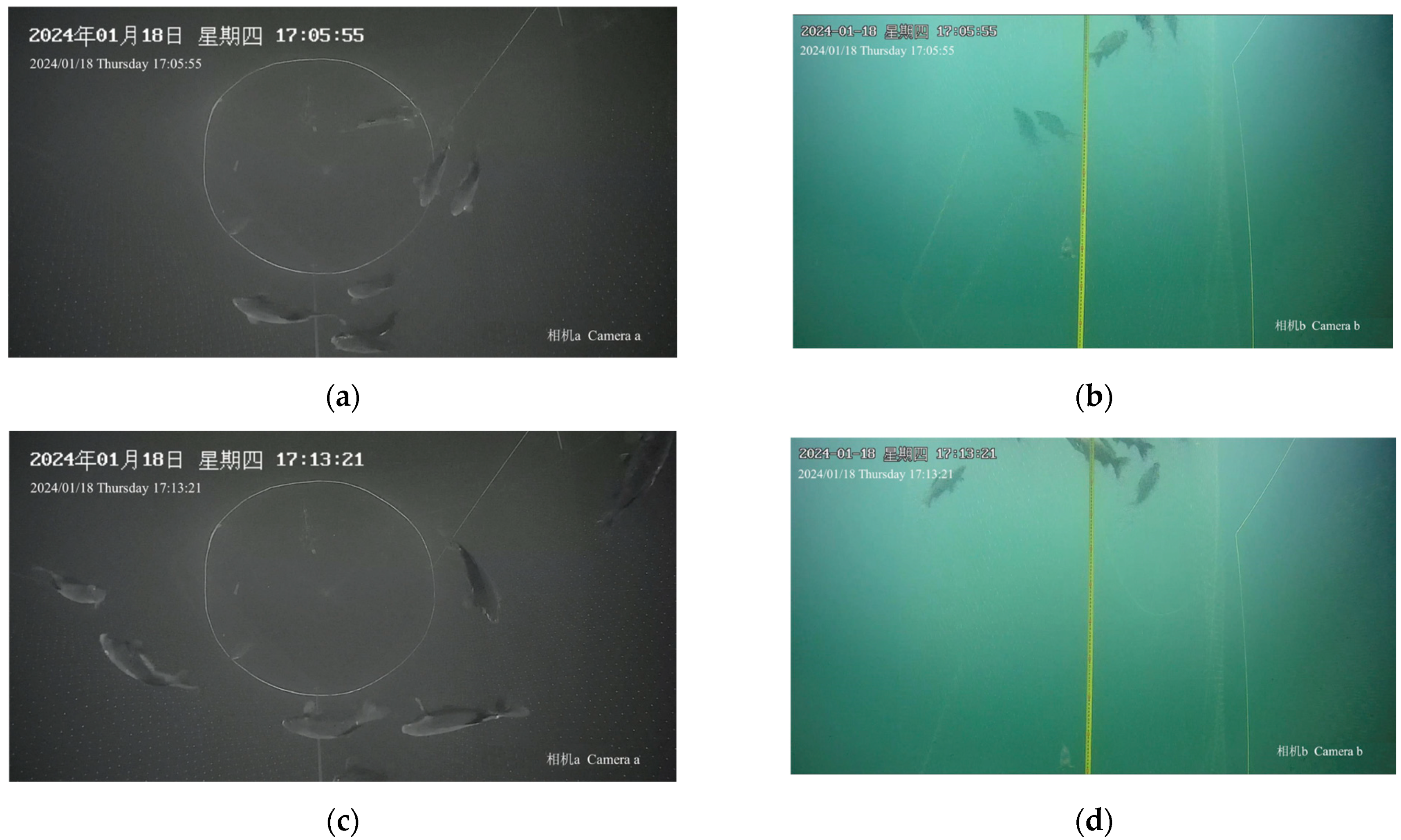 Fishes 10 00391 g007