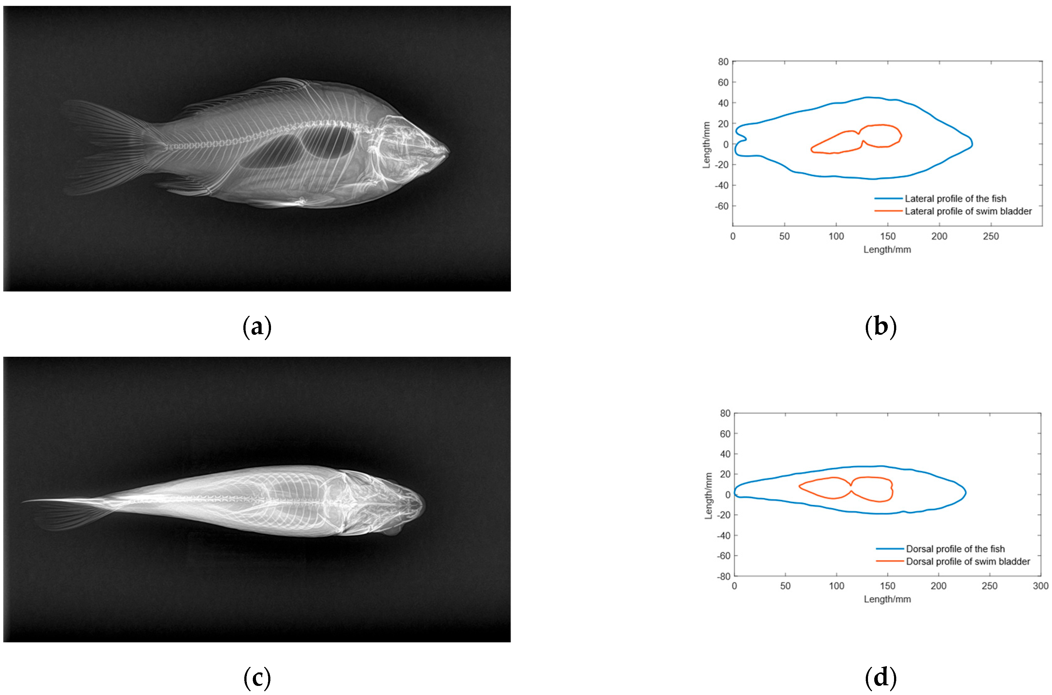 Fishes 10 00391 g008