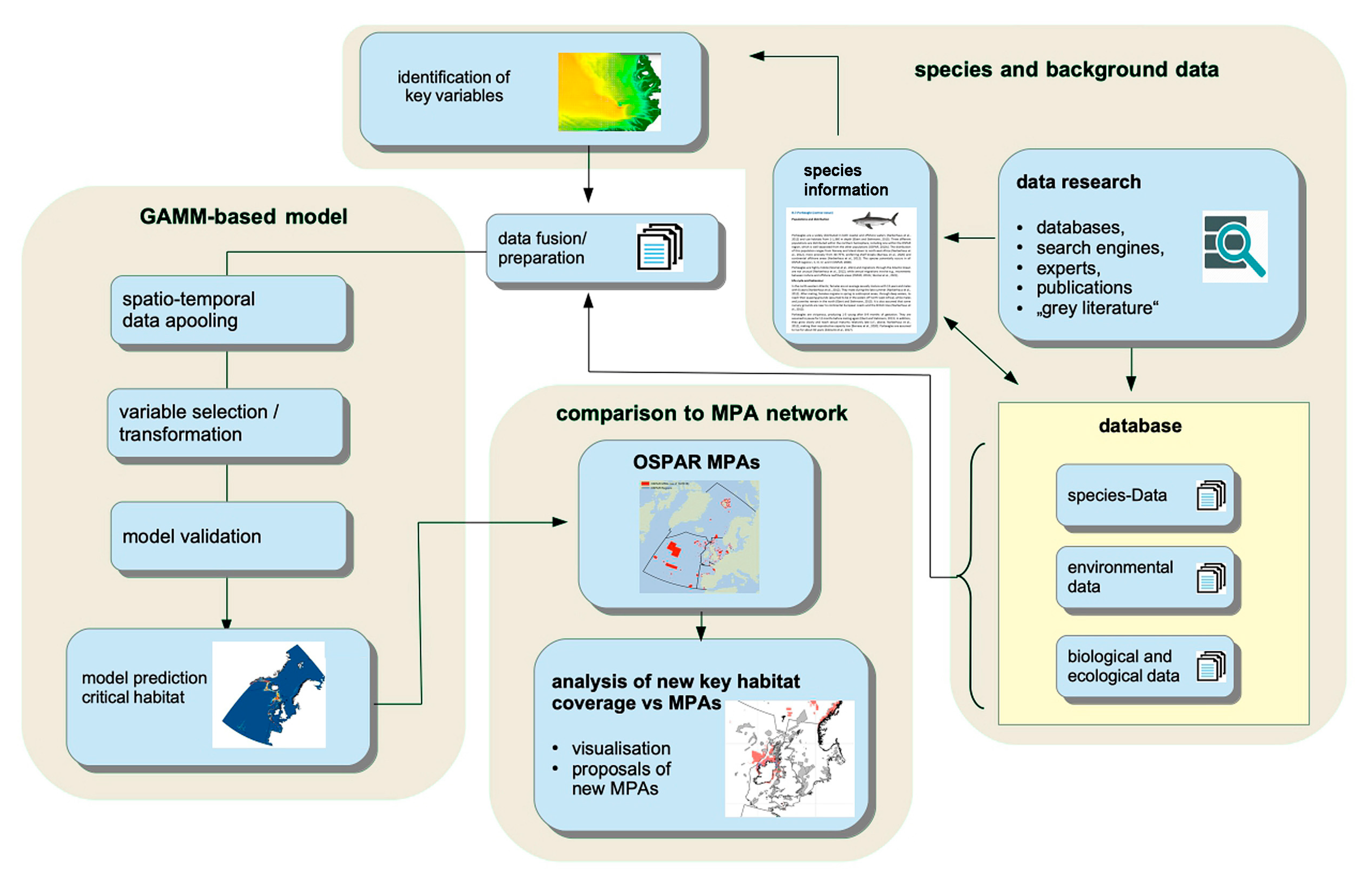 Fishes 10 00393 g001 Fishes 10 00393 g001