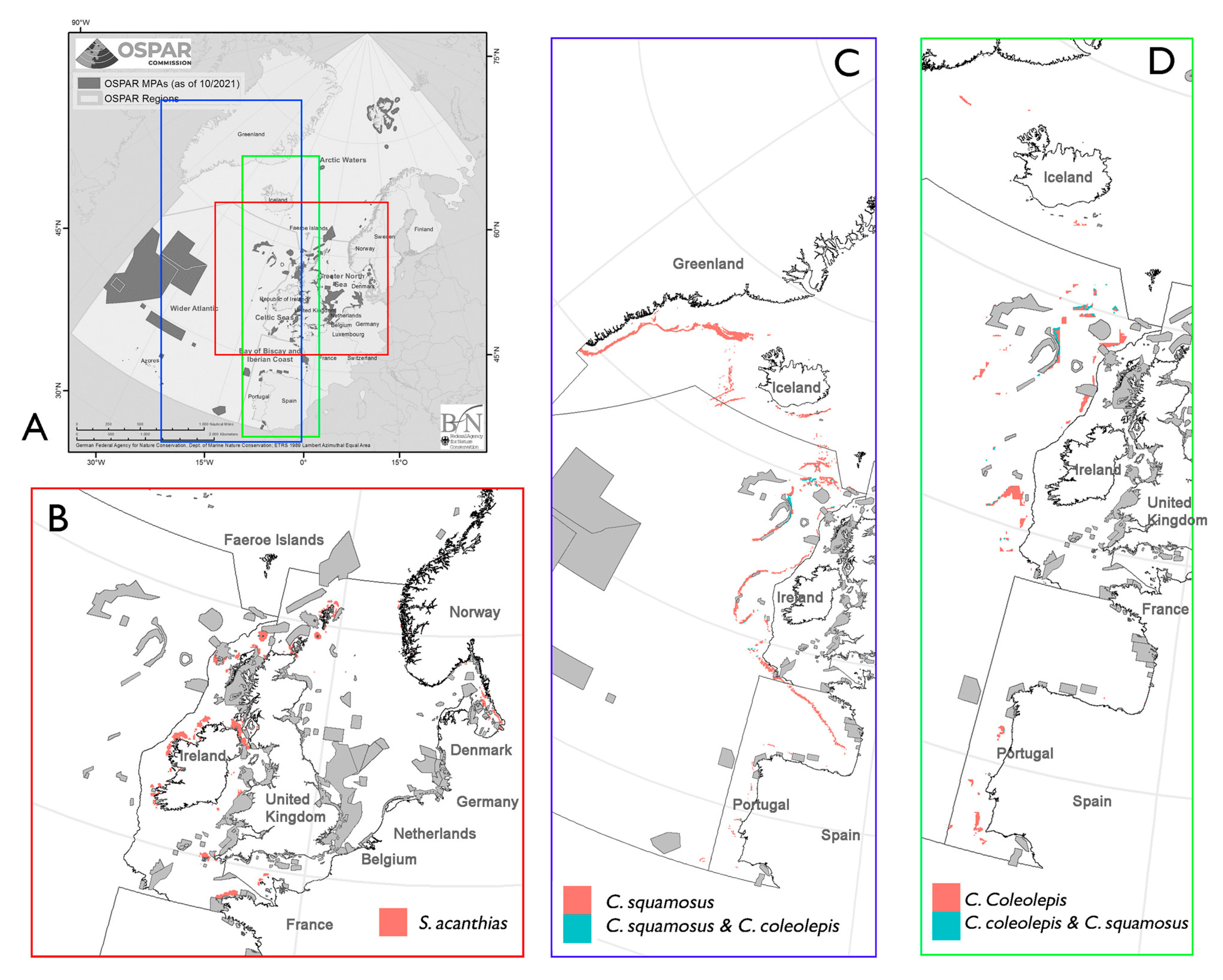 Fishes 10 00393 g004 Fishes 10 00393 g004