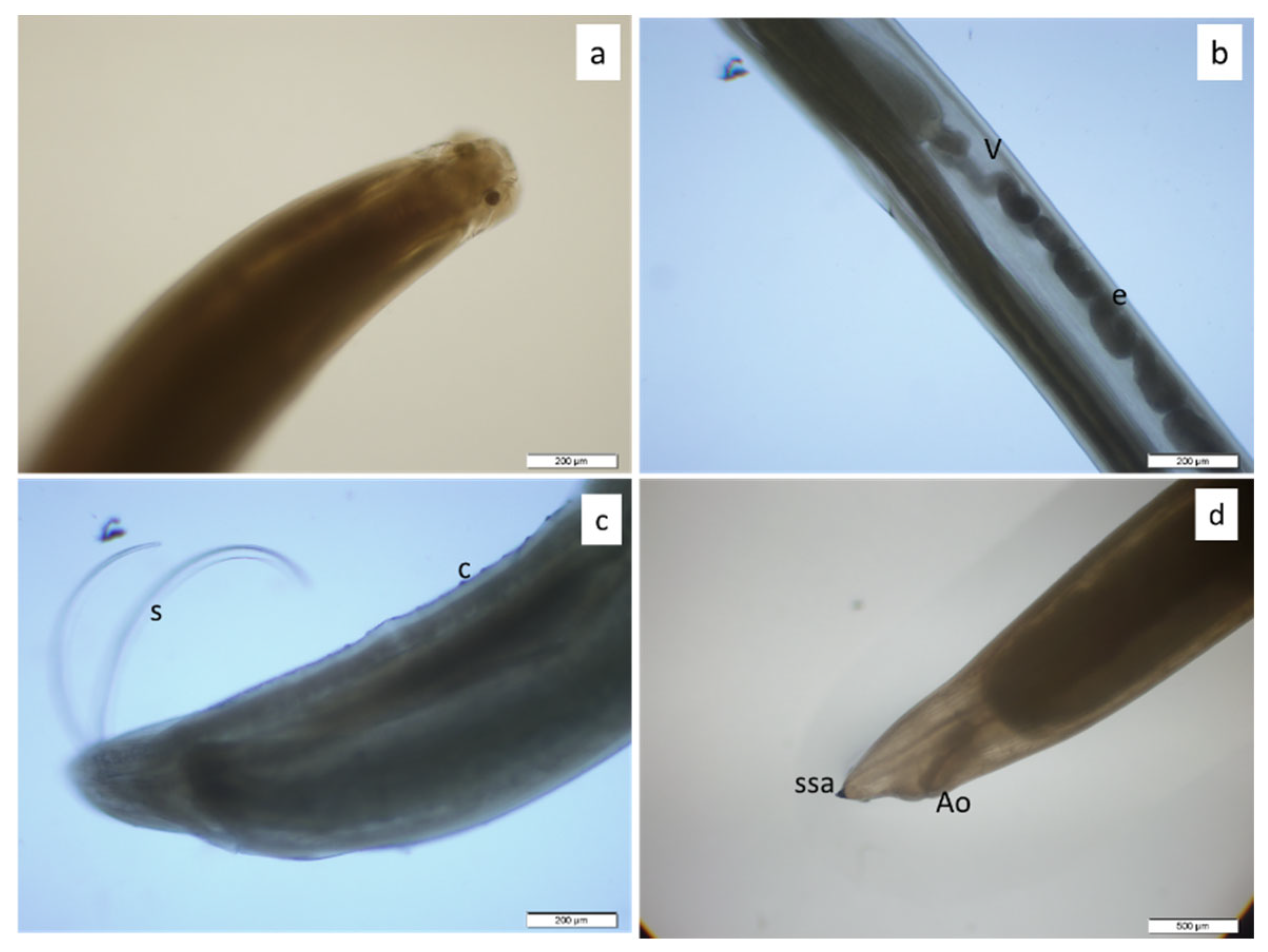 Fishes 10 00395 g003